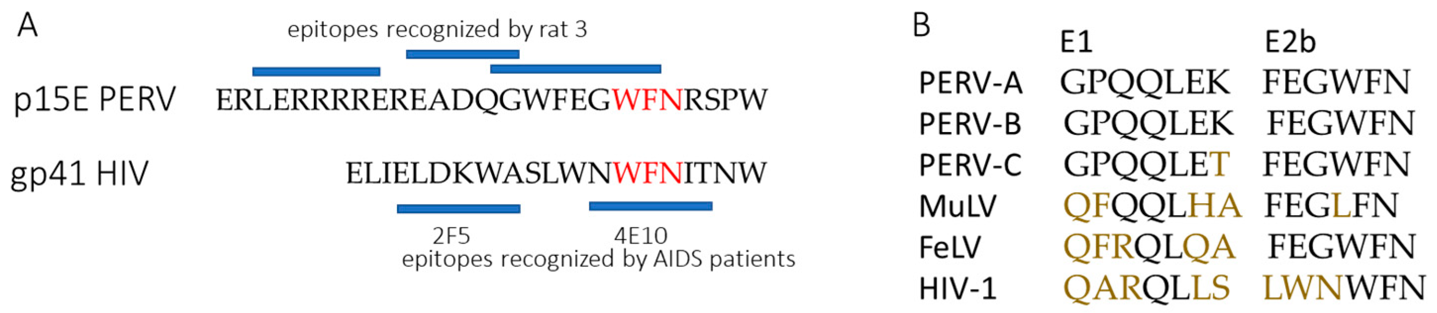 Viruses 17 01437 g010 Viruses 17 01437 g010