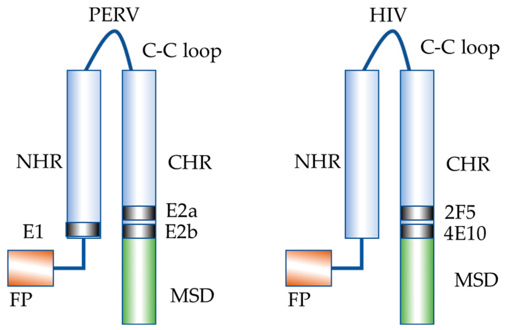Viruses 17 01437 g011 Viruses 17 01437 g011