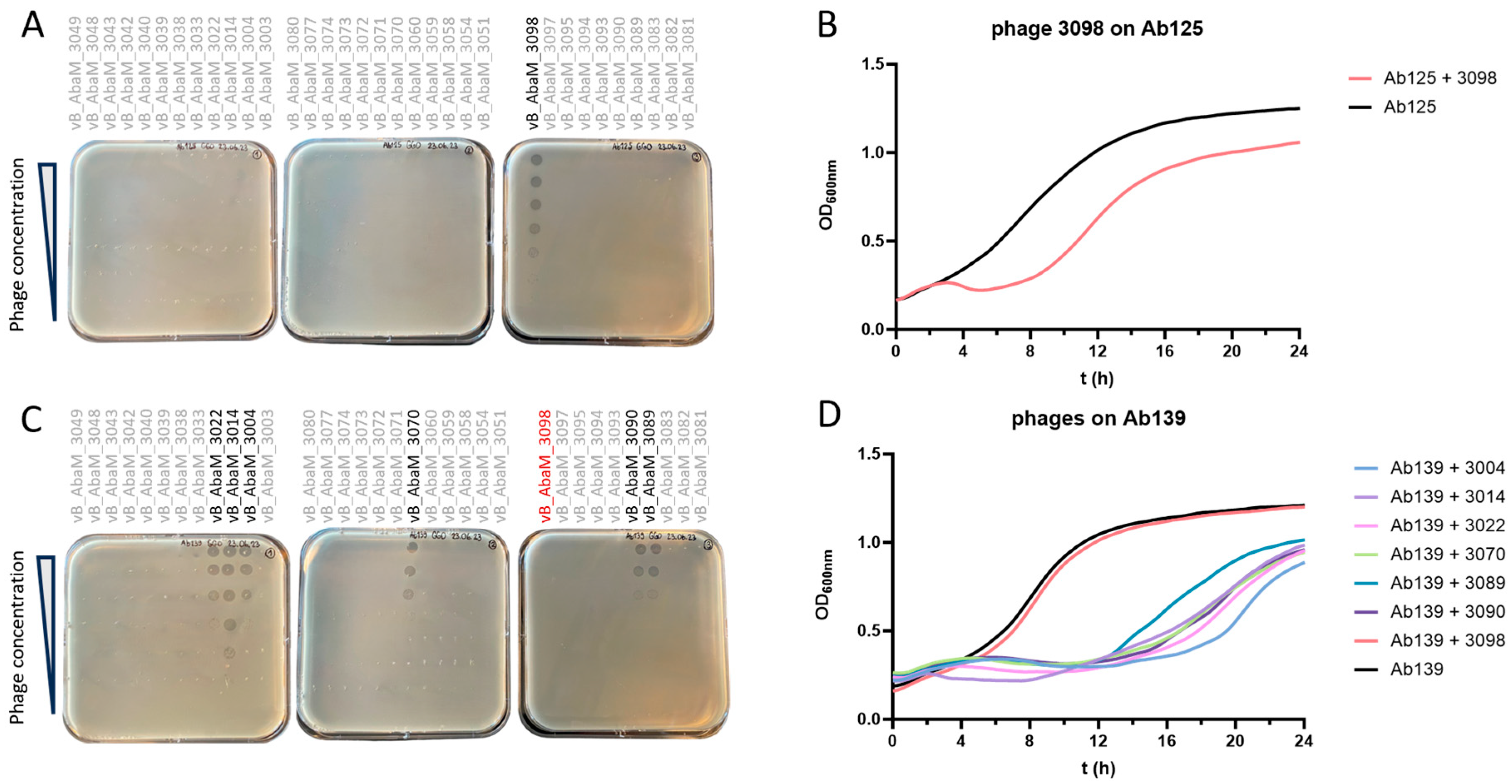 Viruses 17 01441 g001 Viruses 17 01441 g001