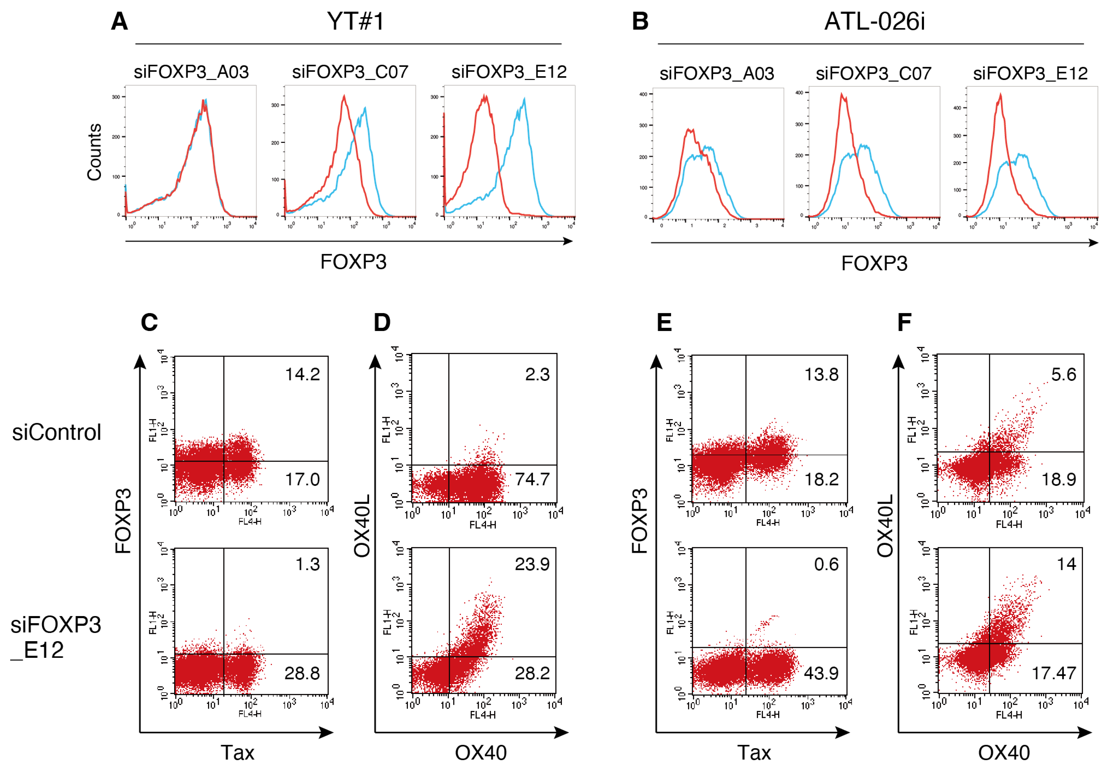 Viruses 17 01445 g002 Viruses 17 01445 g002