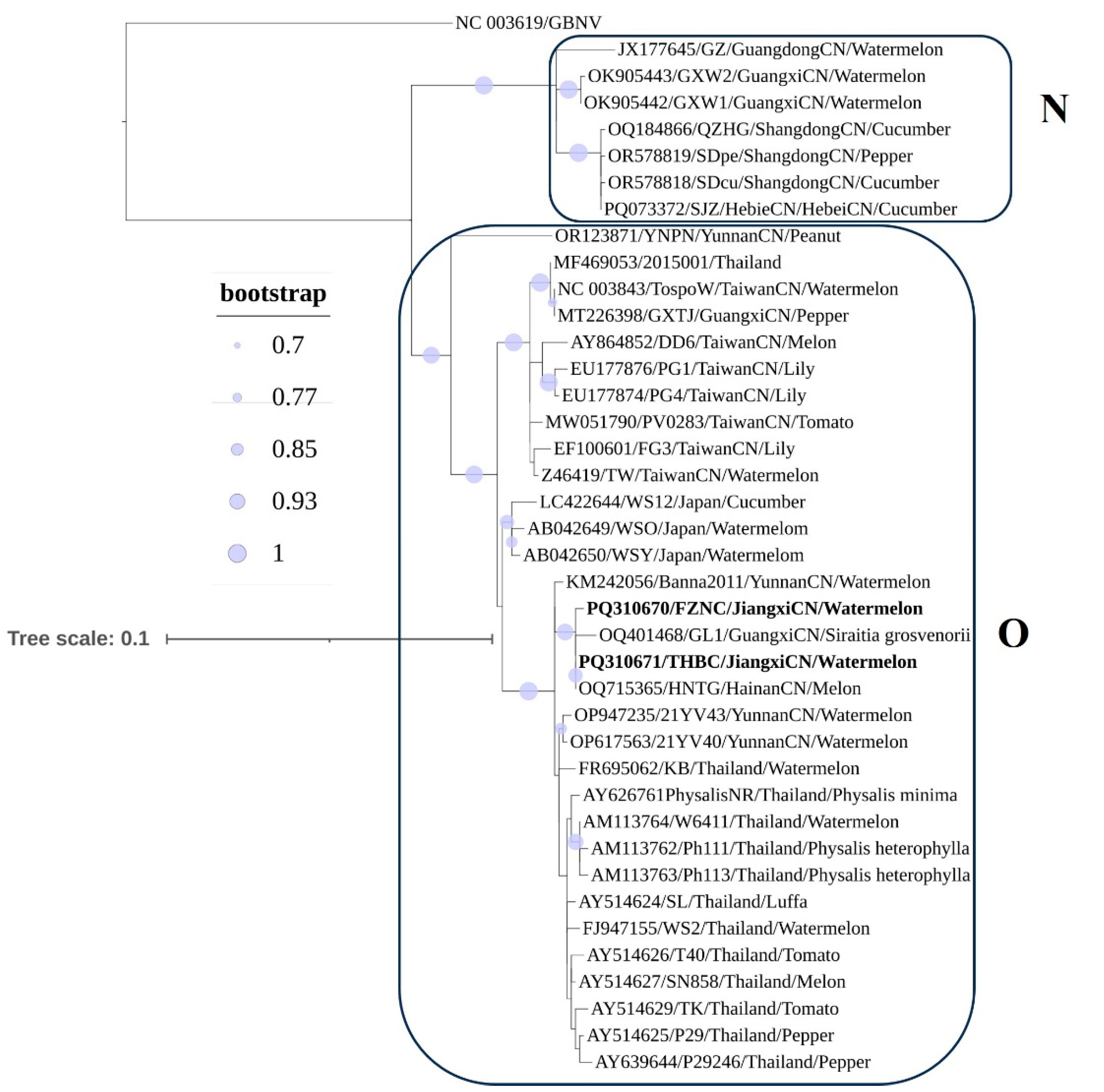Viruses 17 01448 g004