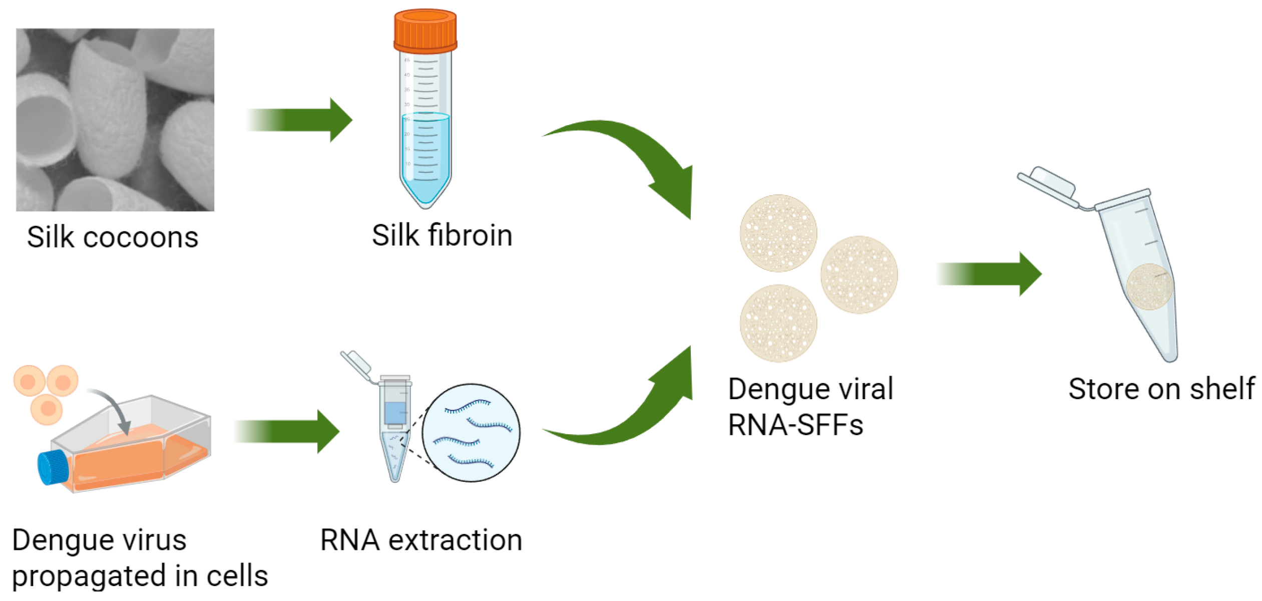 Viruses 17 01452 g001
