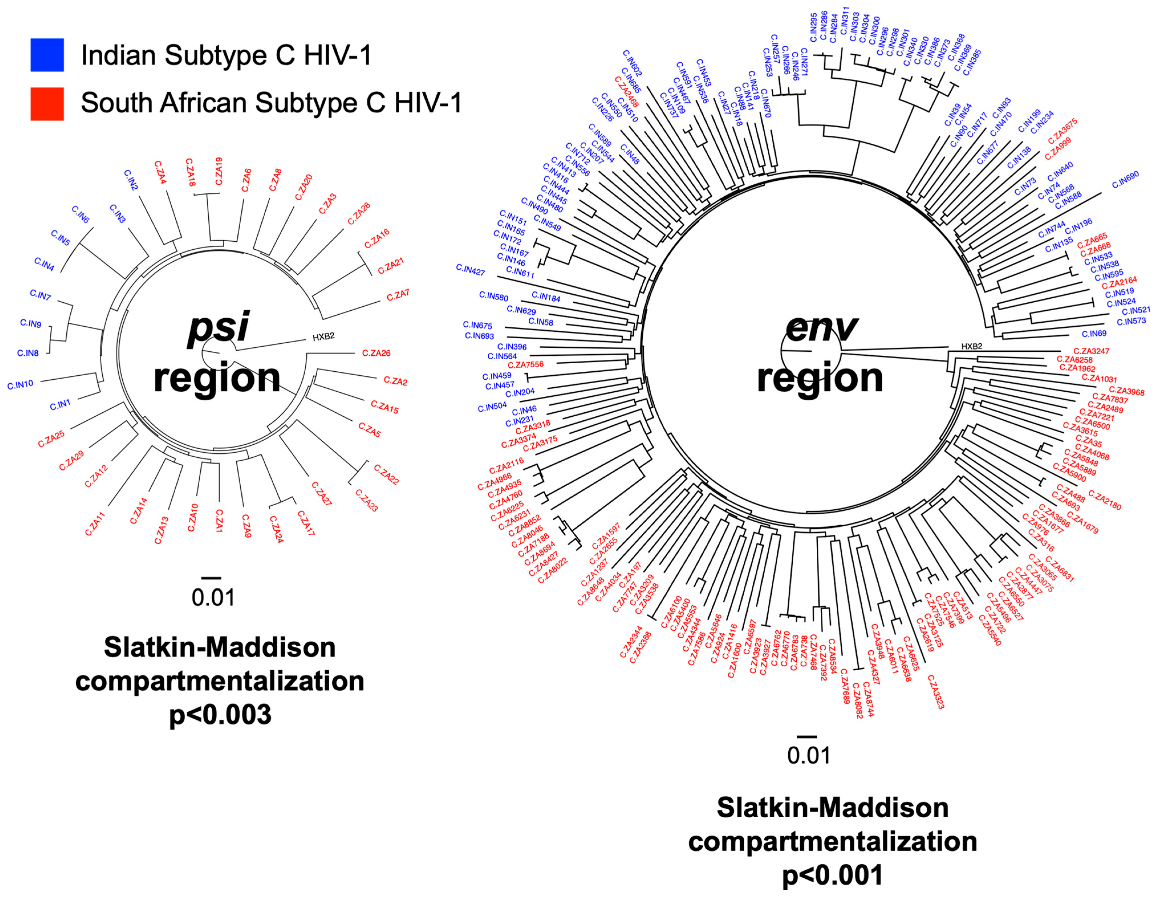Viruses 17 01453 g001 Viruses 17 01453 g001