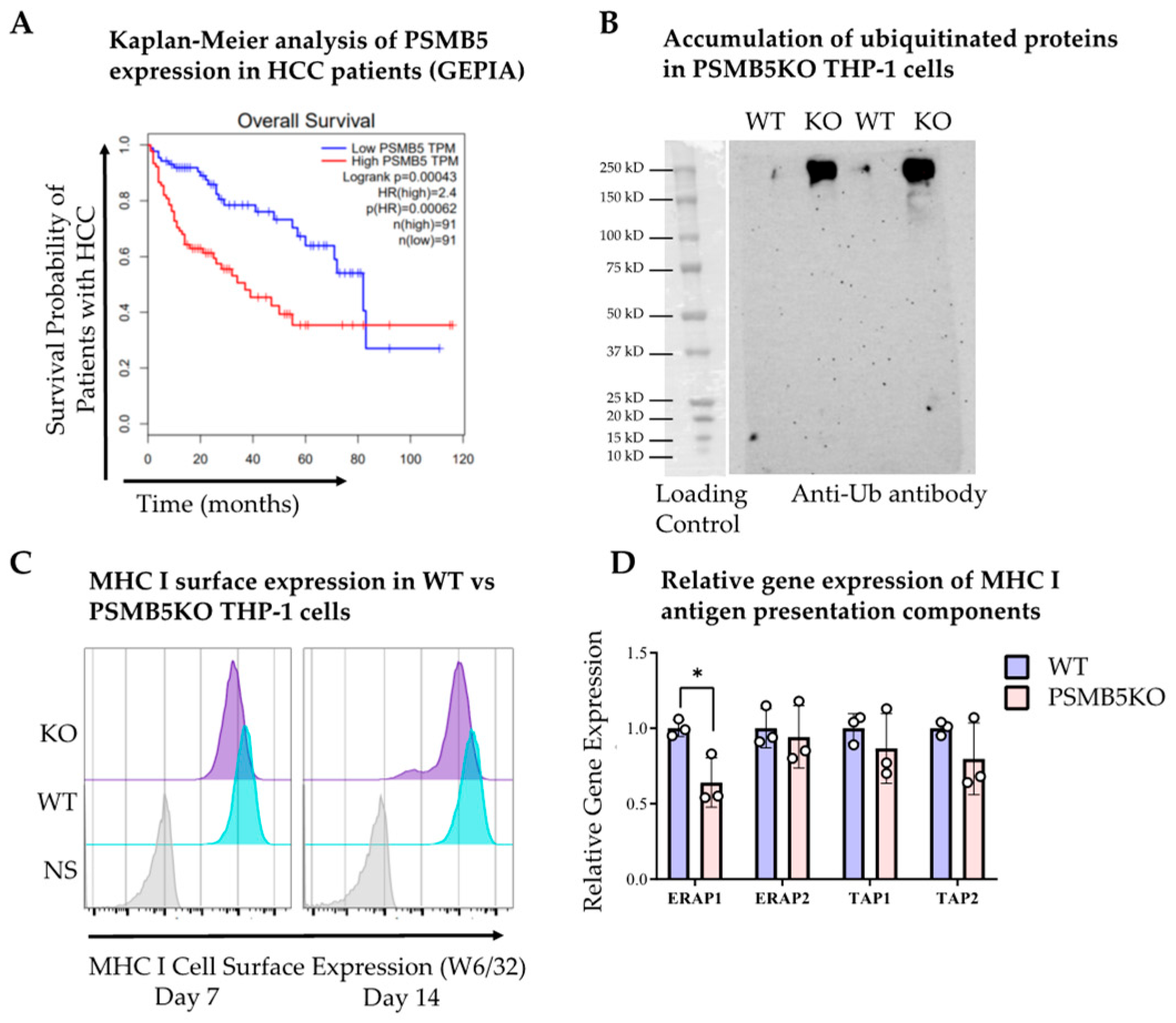 Viruses 17 01454 g002 Viruses 17 01454 g002