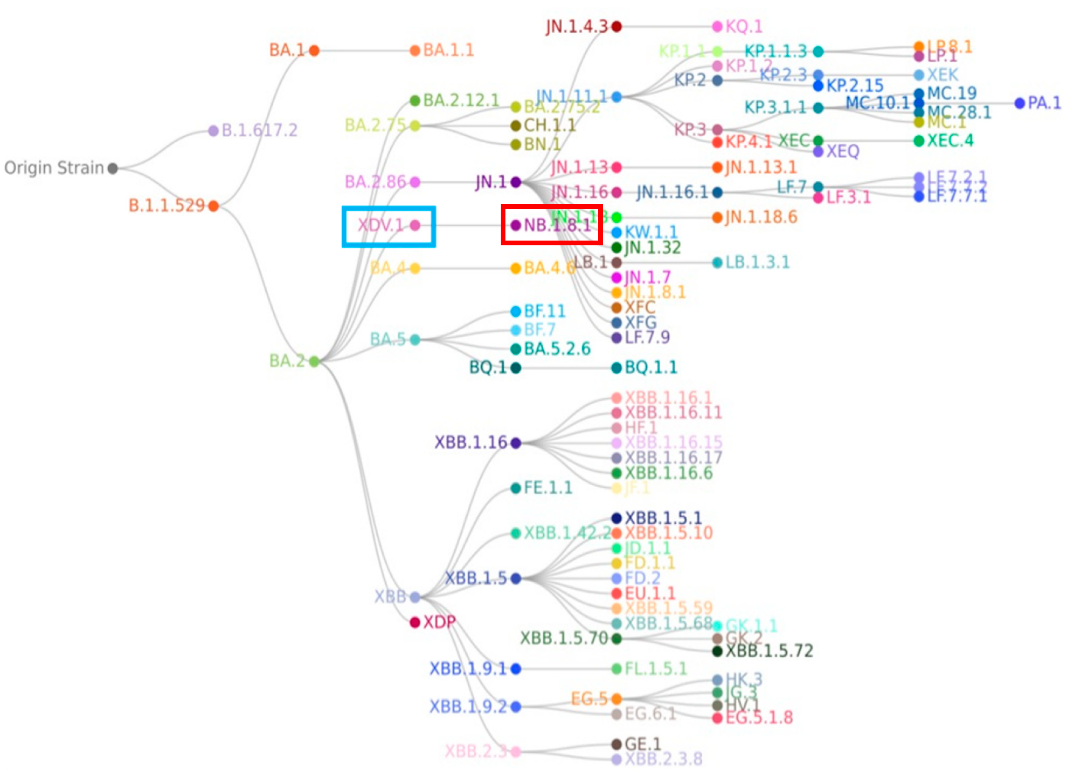 Viruses 17 01457 g003 Viruses 17 01457 g003