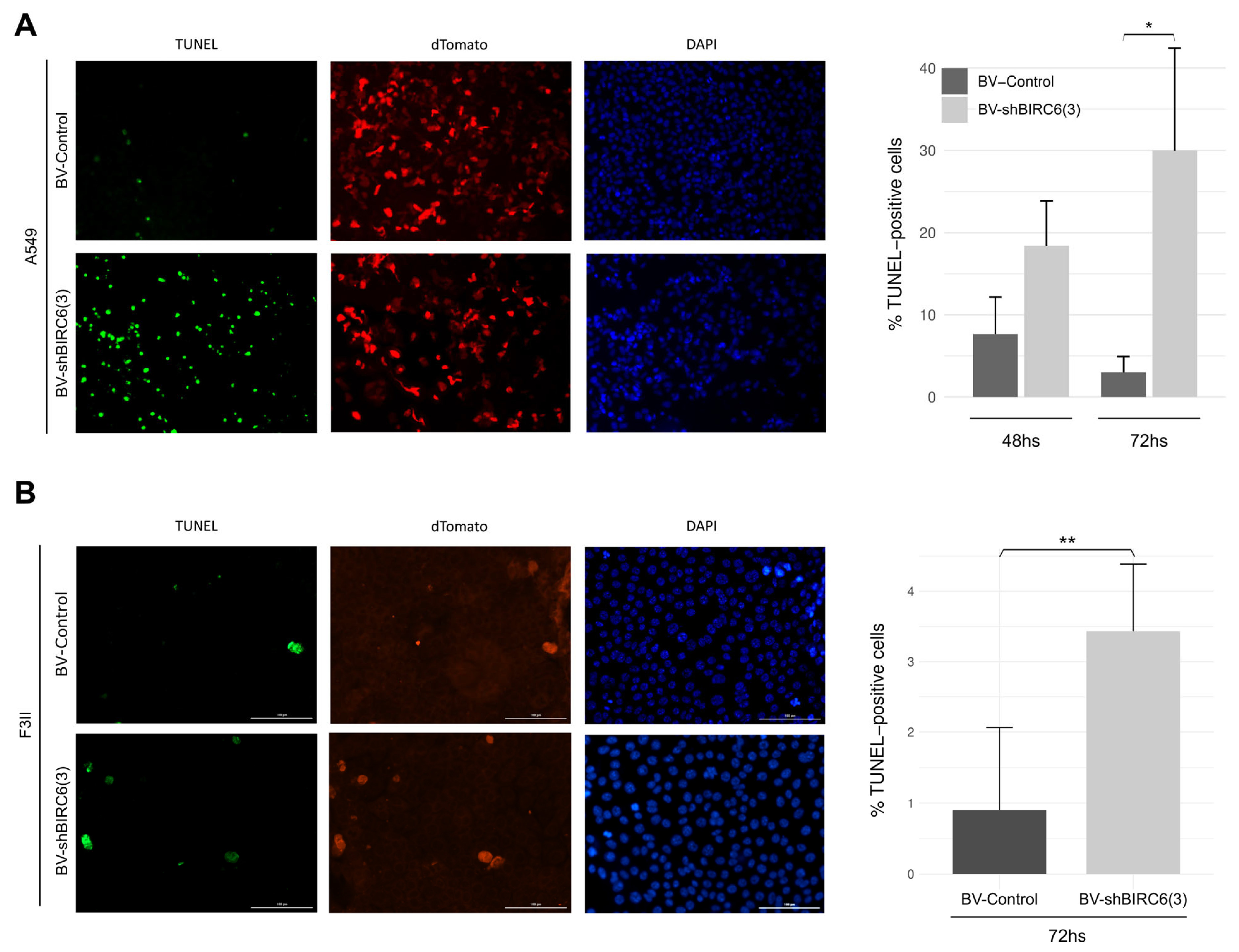 Viruses 17 01458 g003 Viruses 17 01458 g003