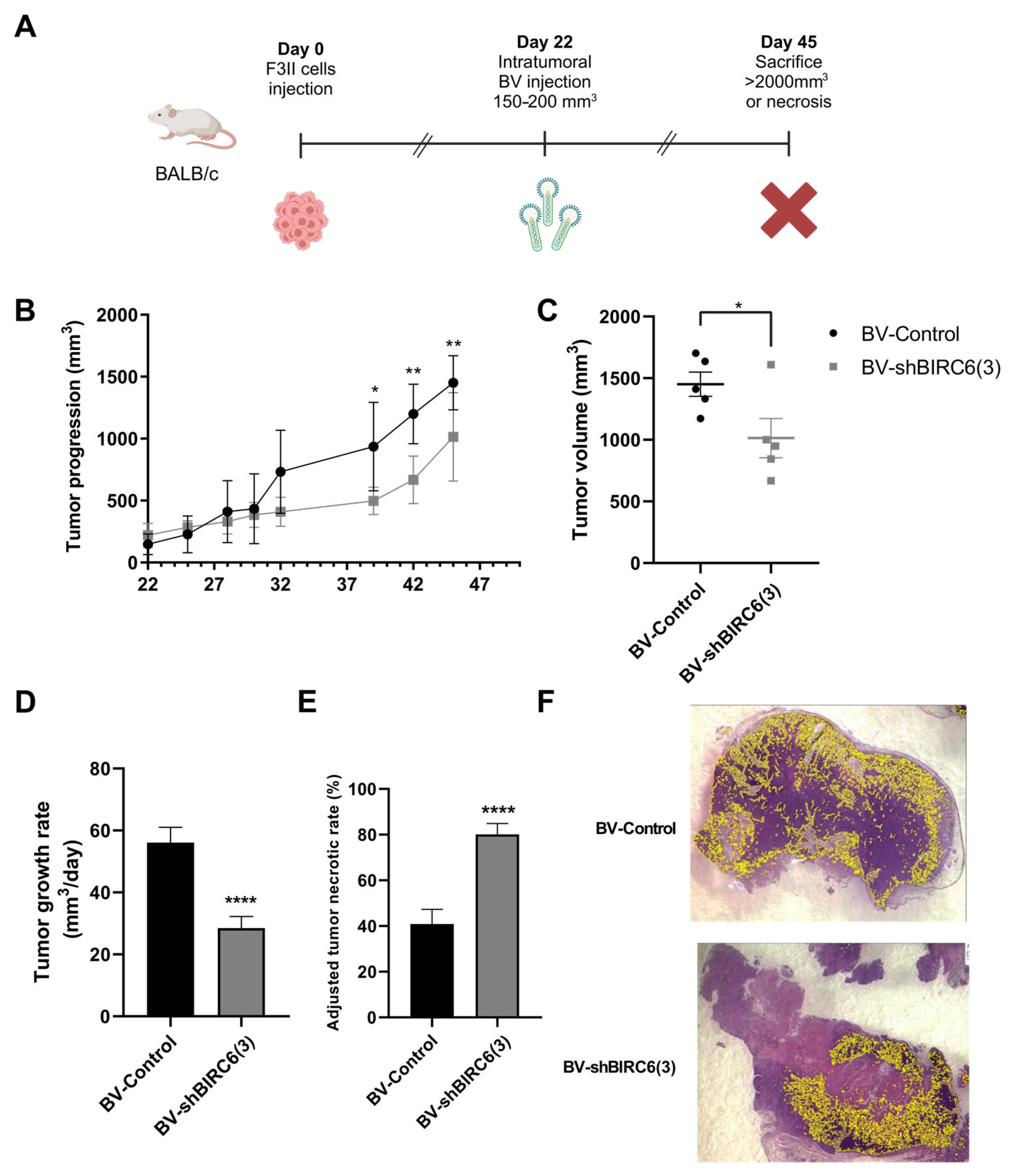 Viruses 17 01458 g005 Viruses 17 01458 g005