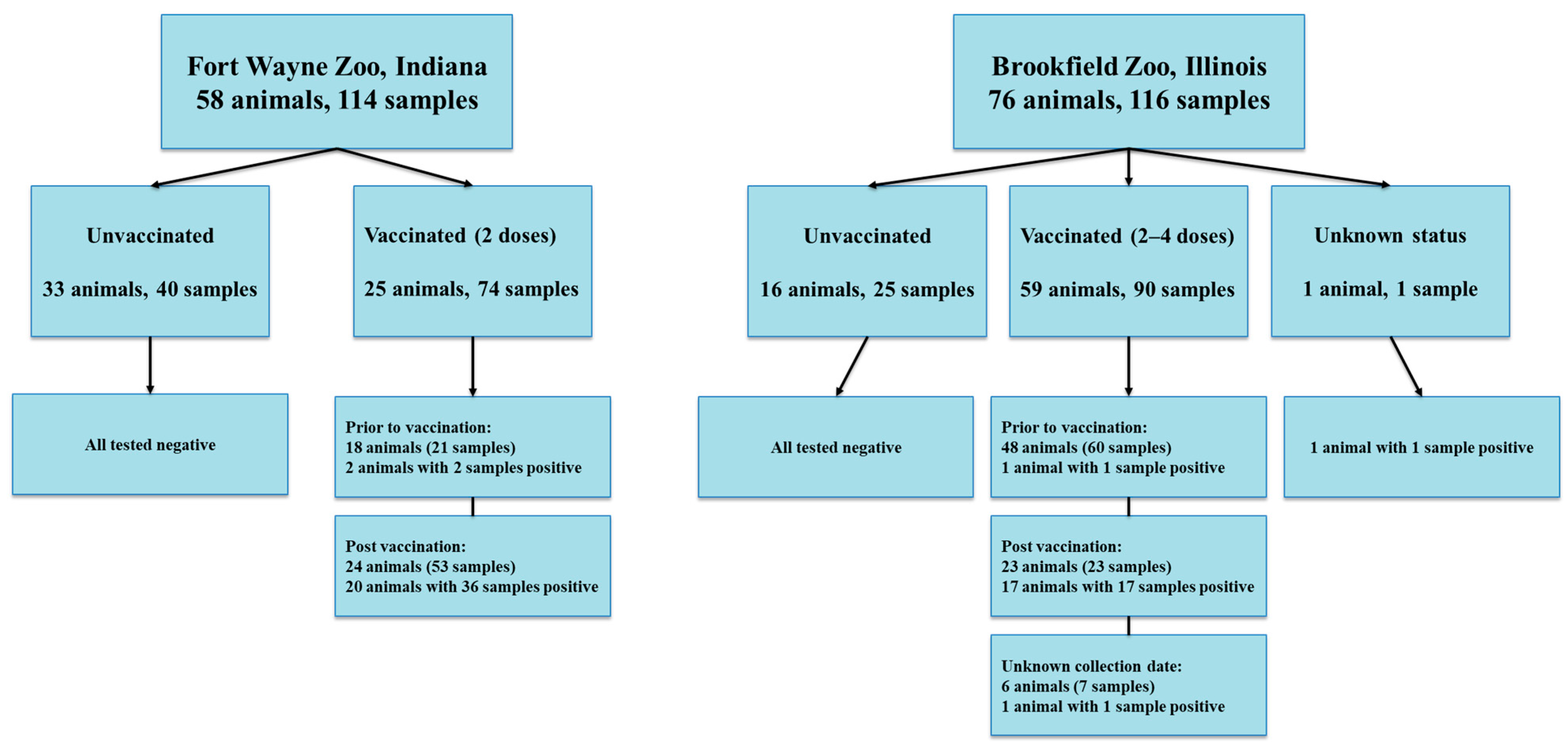 Viruses 17 01459 g001