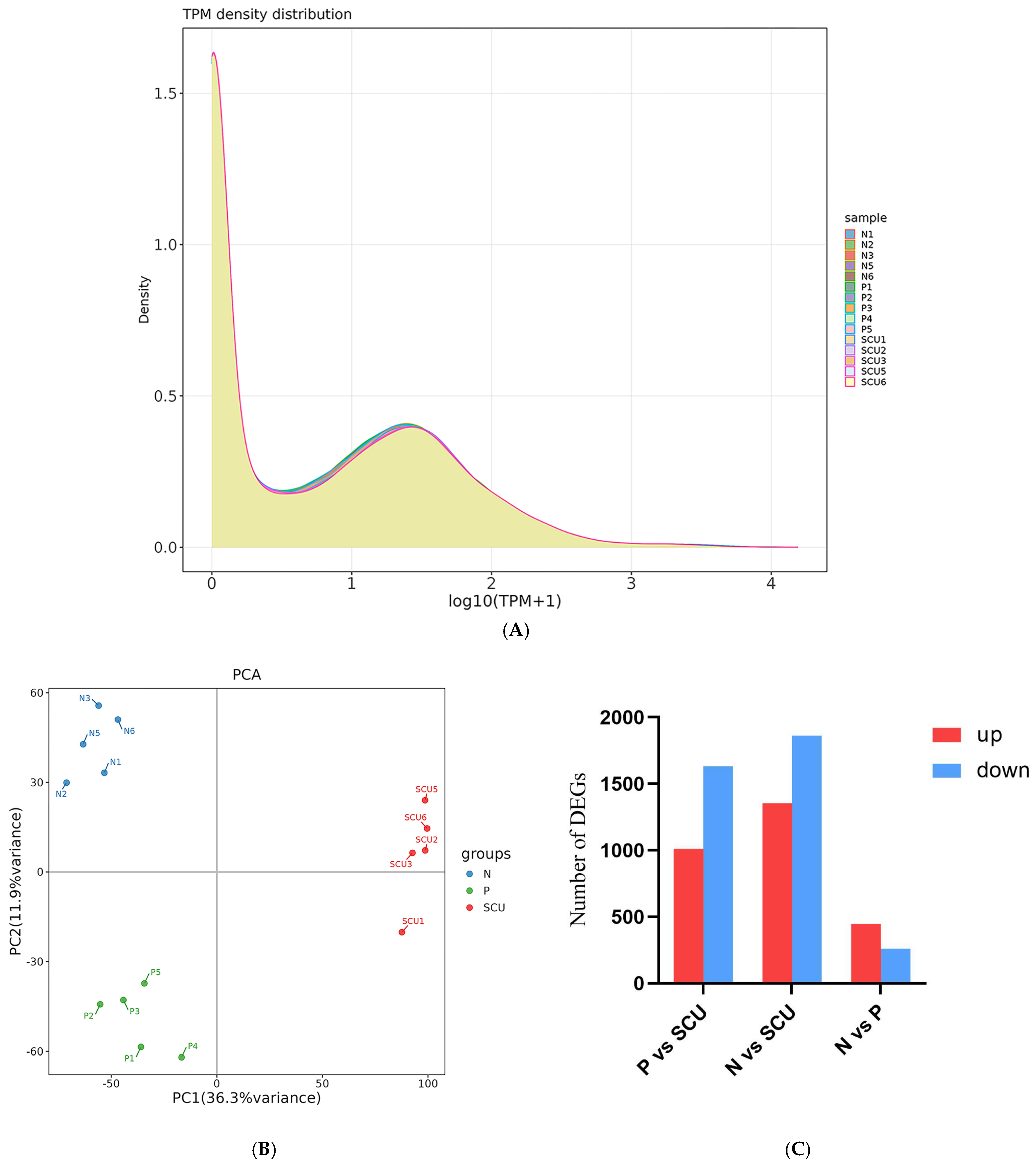 Viruses 17 01460 g002a Viruses 17 01460 g002a