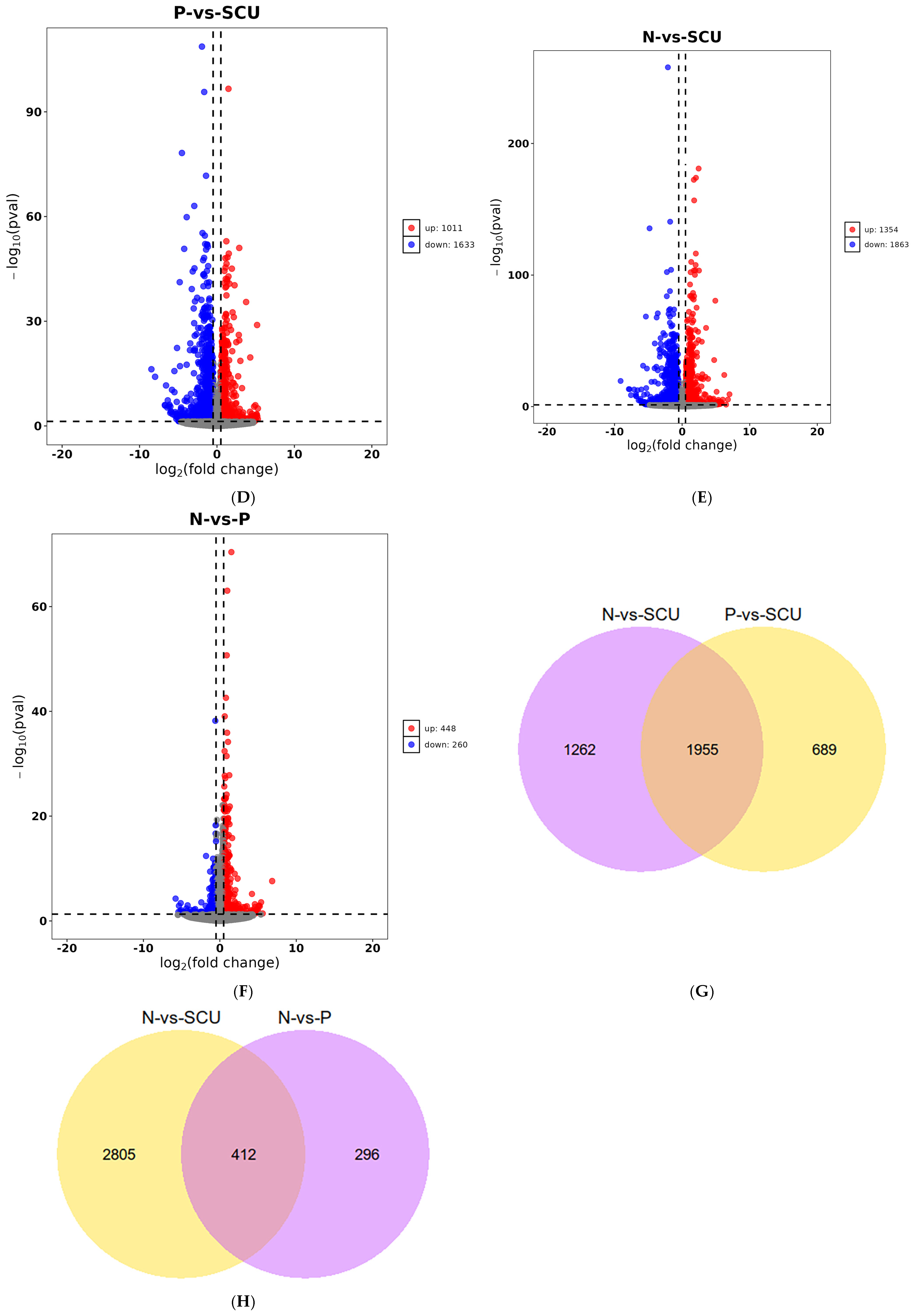 Viruses 17 01460 g002b Viruses 17 01460 g002b