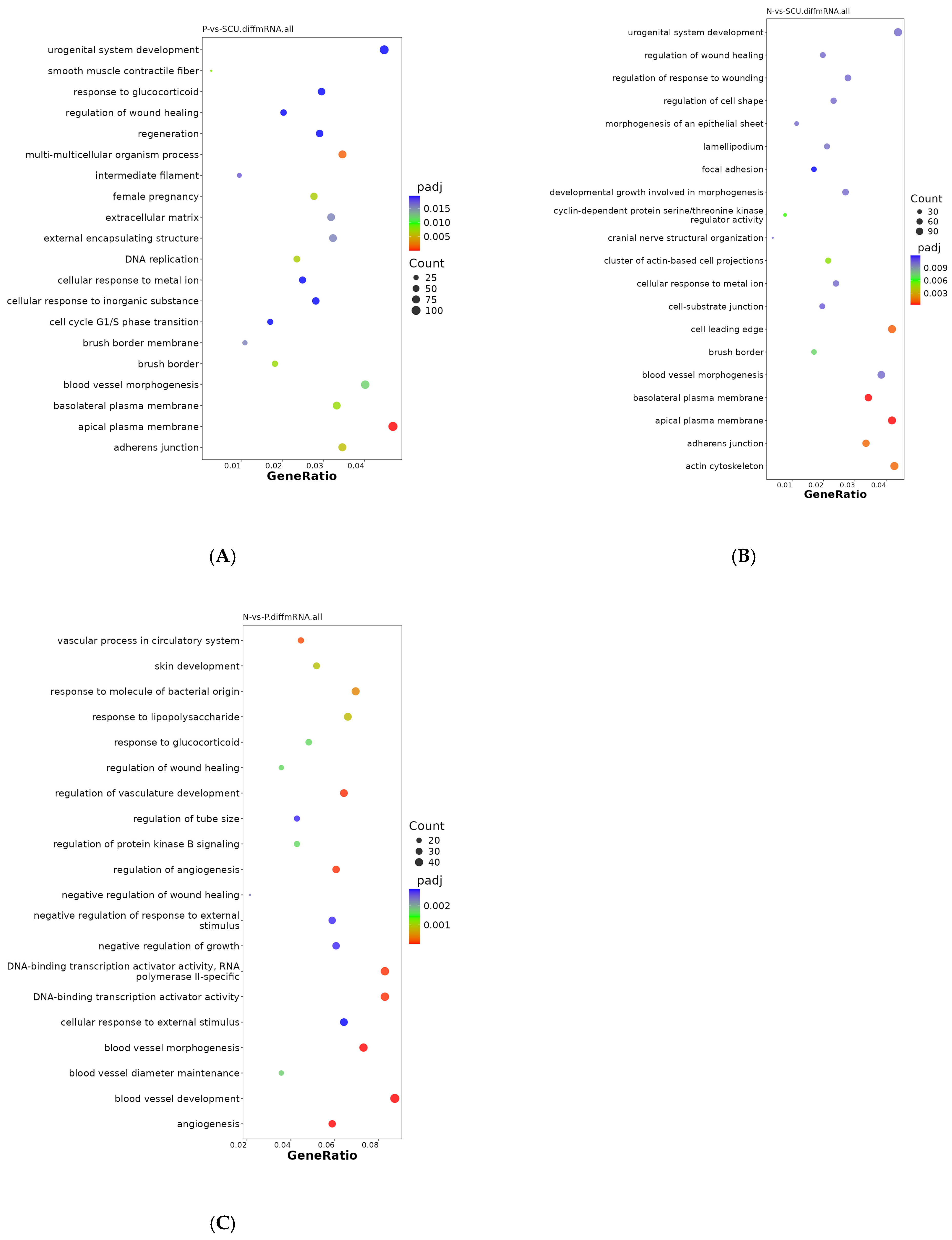 Viruses 17 01460 g003 Viruses 17 01460 g003