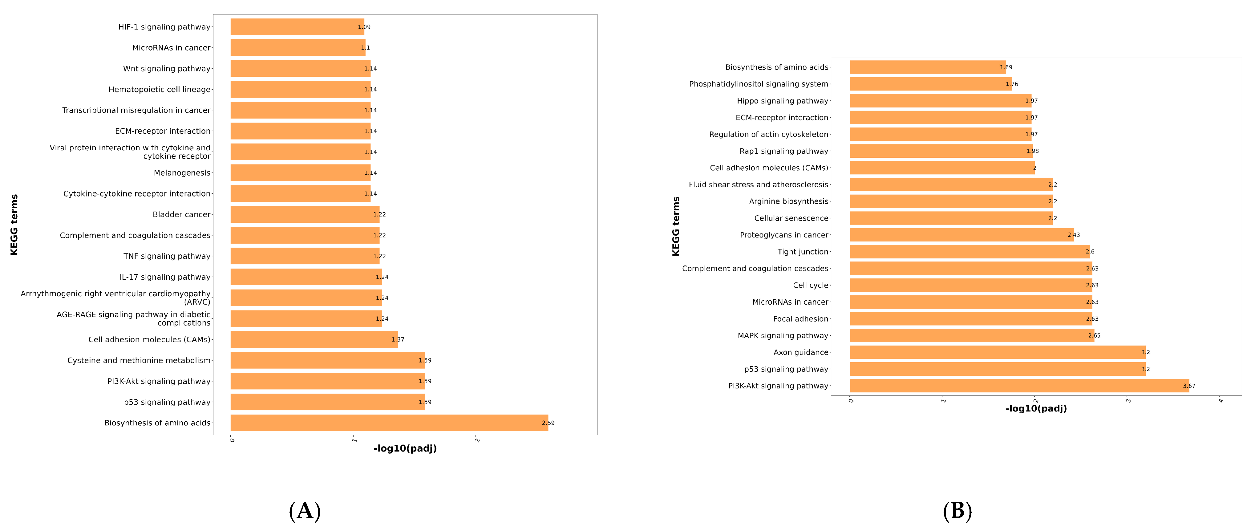 Viruses 17 01460 g004a Viruses 17 01460 g004a