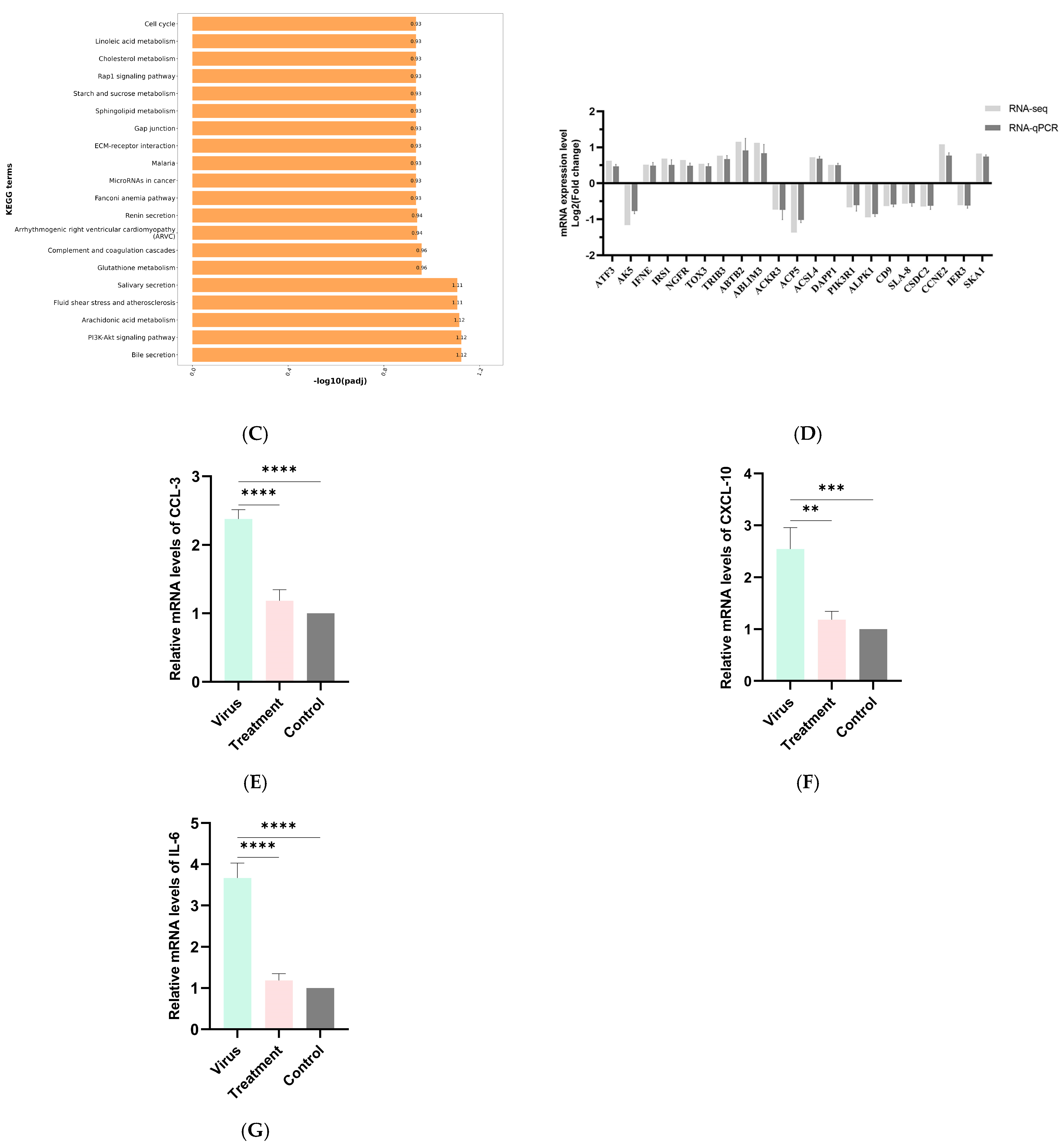 Viruses 17 01460 g004b Viruses 17 01460 g004b
