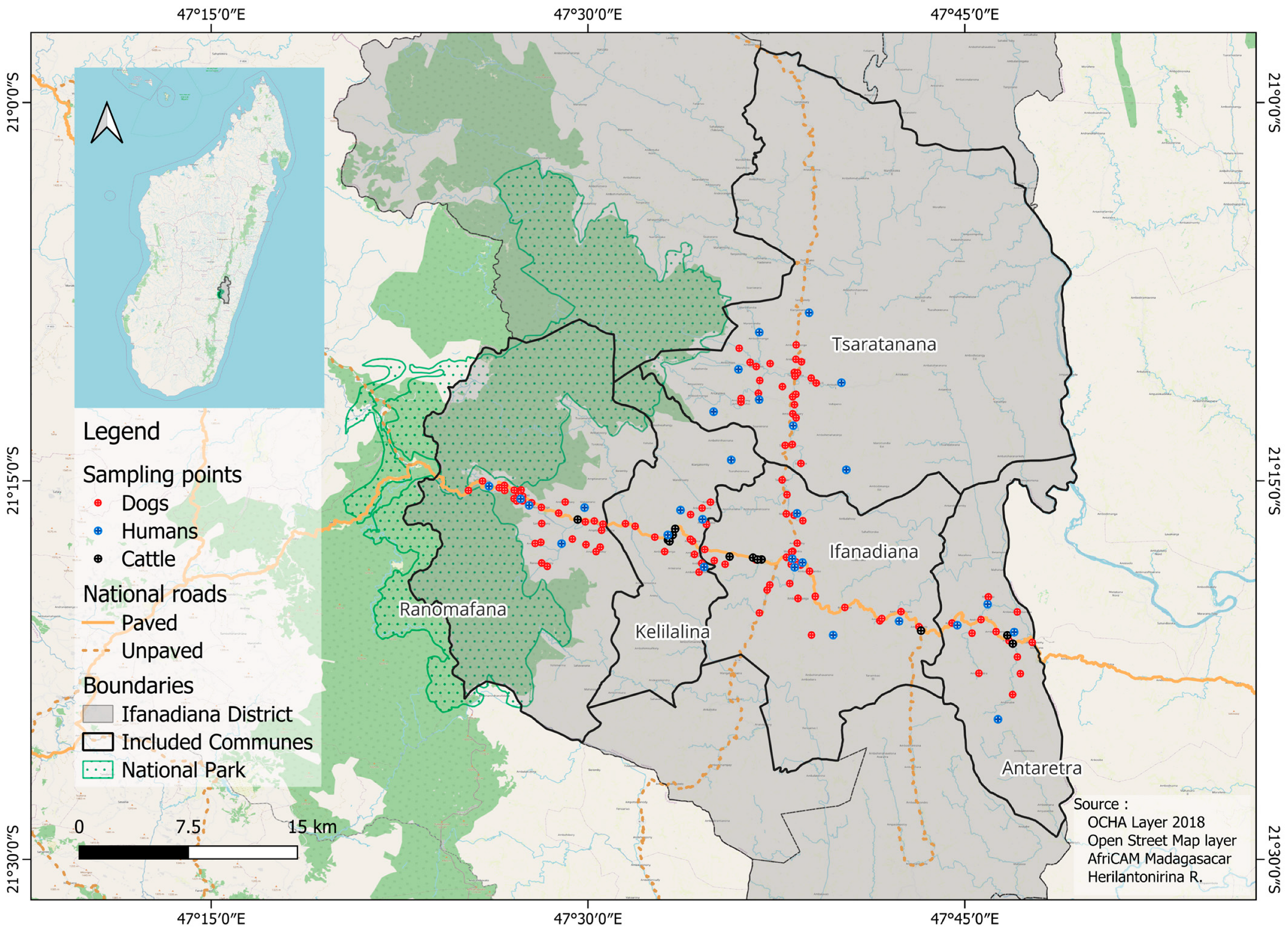 Viruses 17 01461 g001