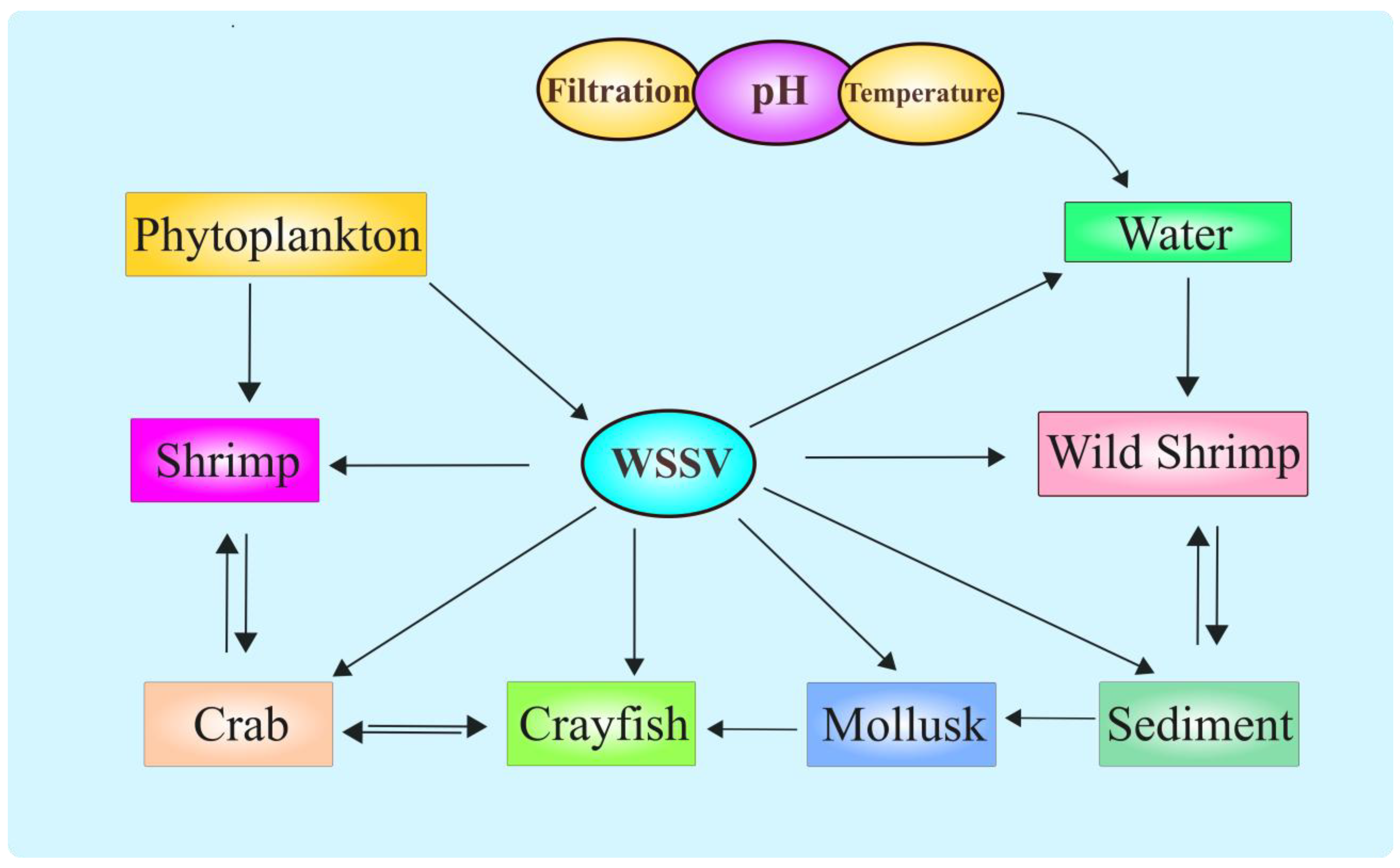 Viruses 17 01463 g003
