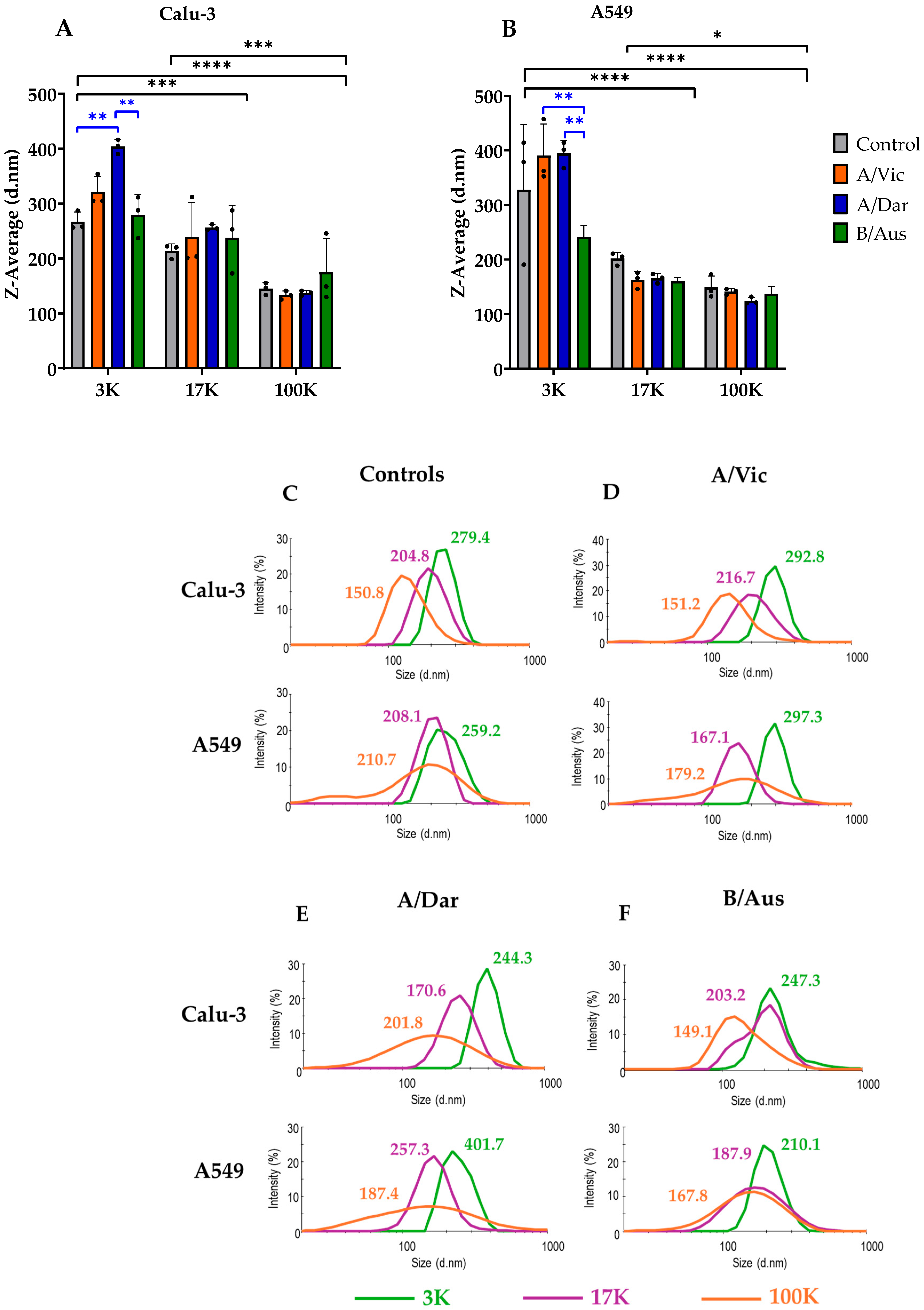 Viruses 17 01470 g003