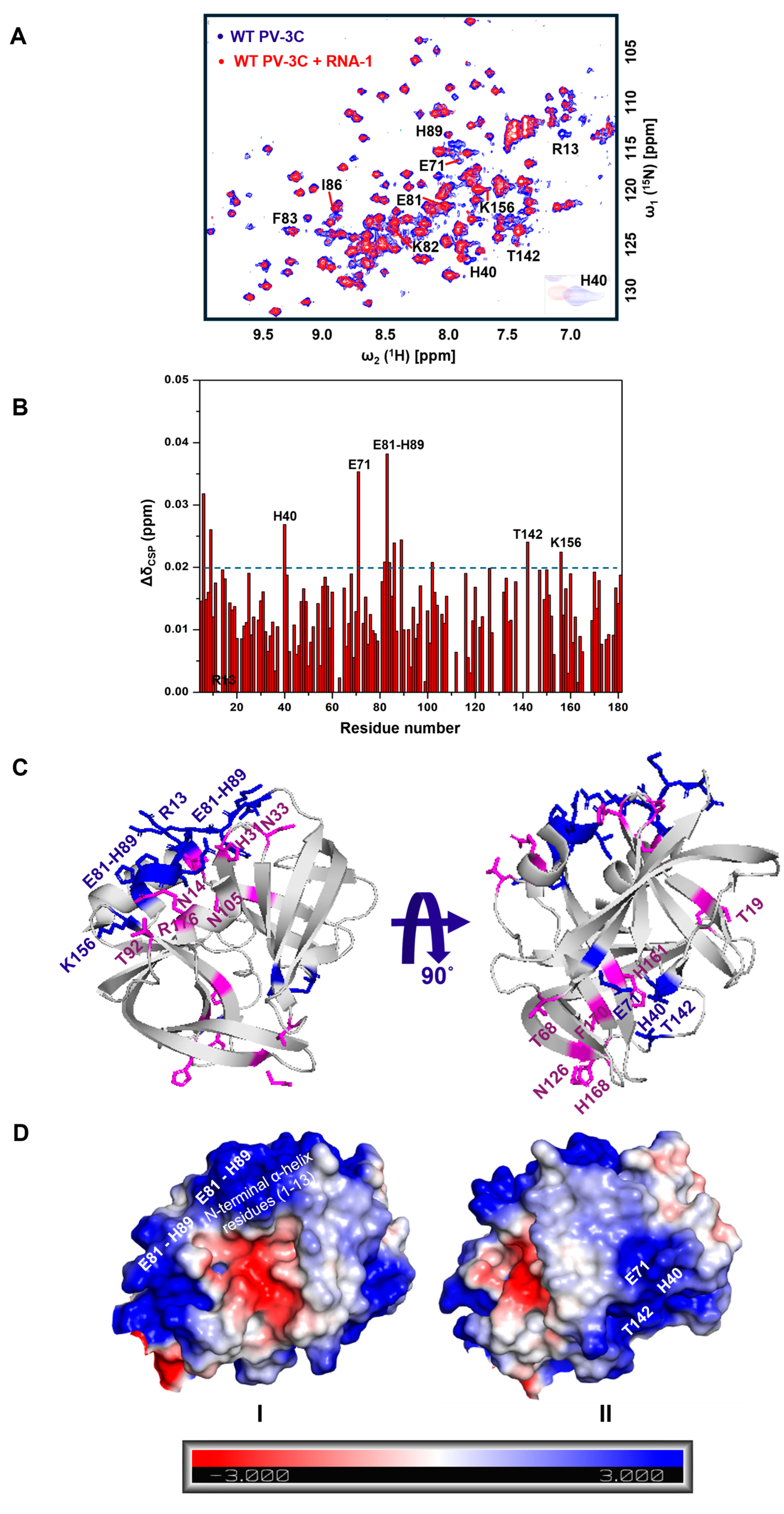 Viruses 17 01473 g001