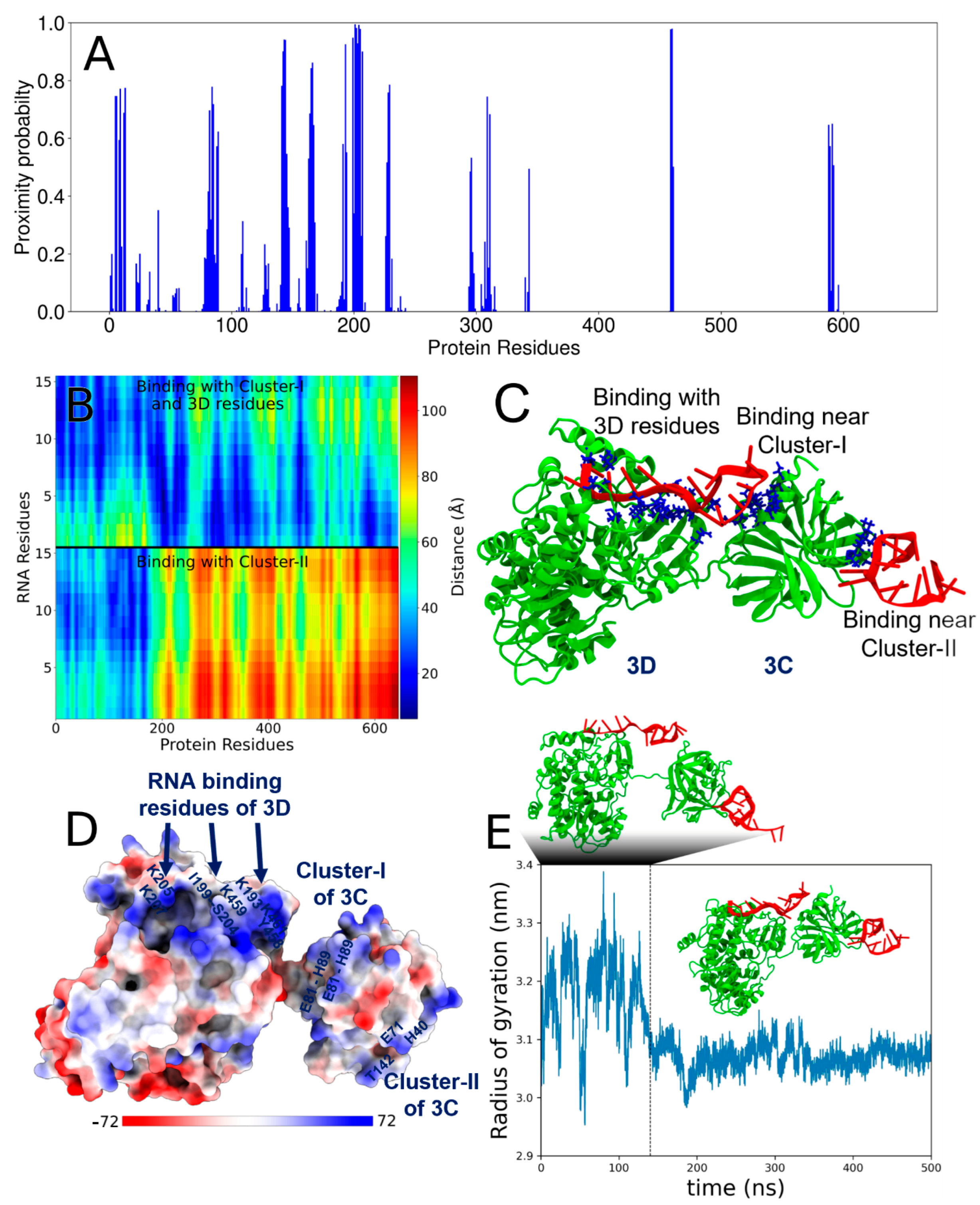 Viruses 17 01473 g005