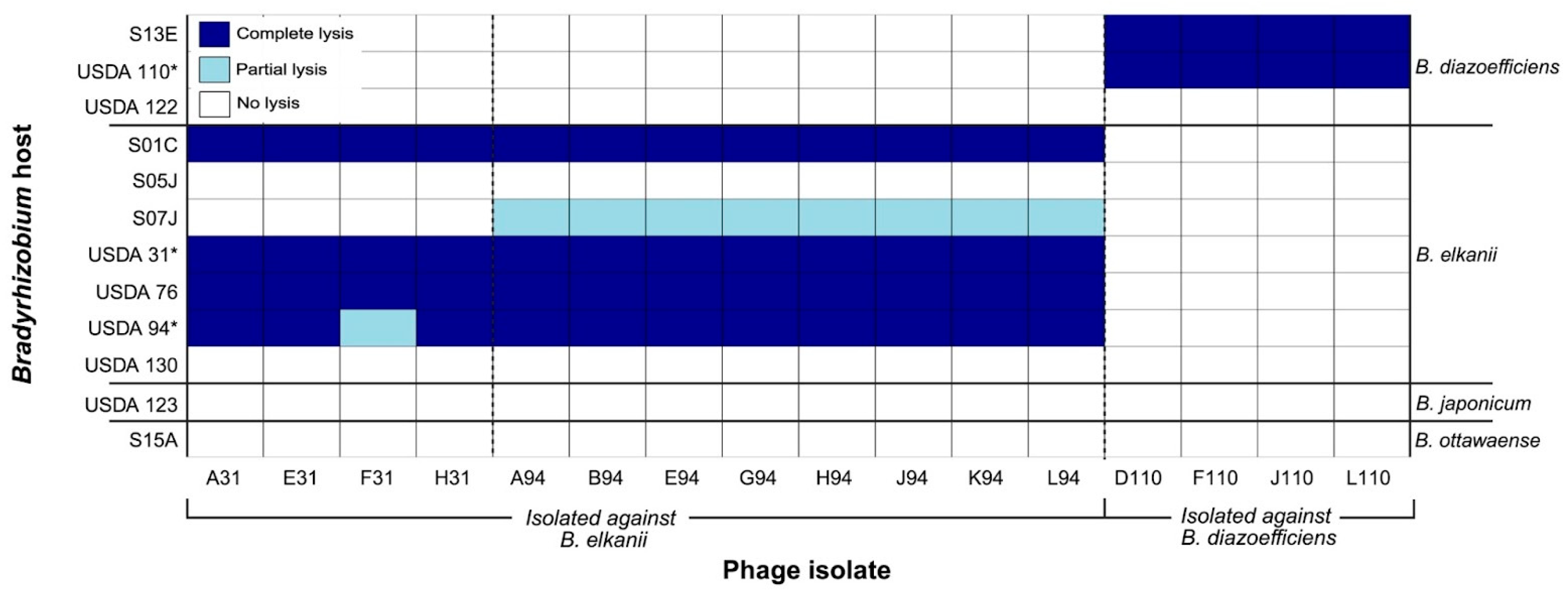 Viruses 17 01474 g003