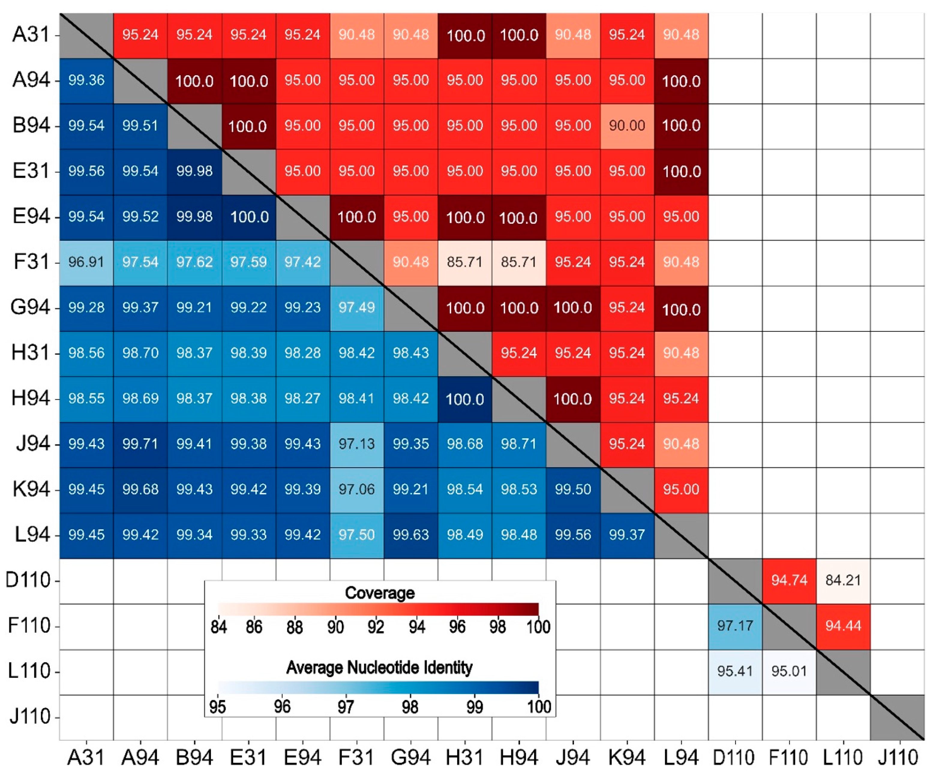 Viruses 17 01474 g004