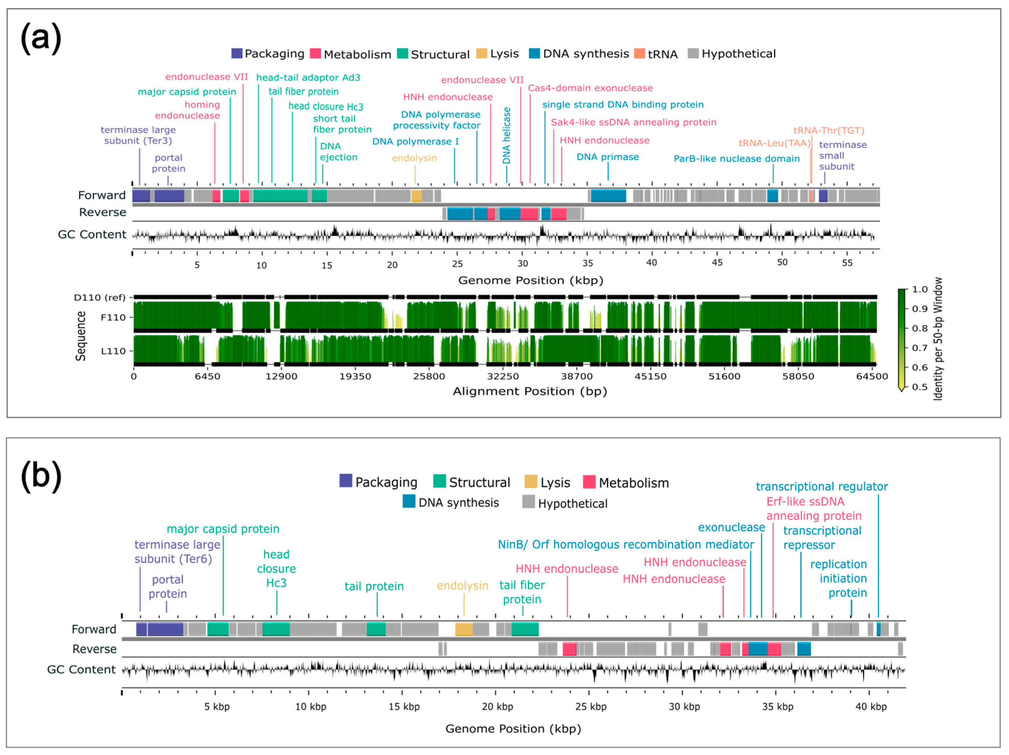 Viruses 17 01474 g006