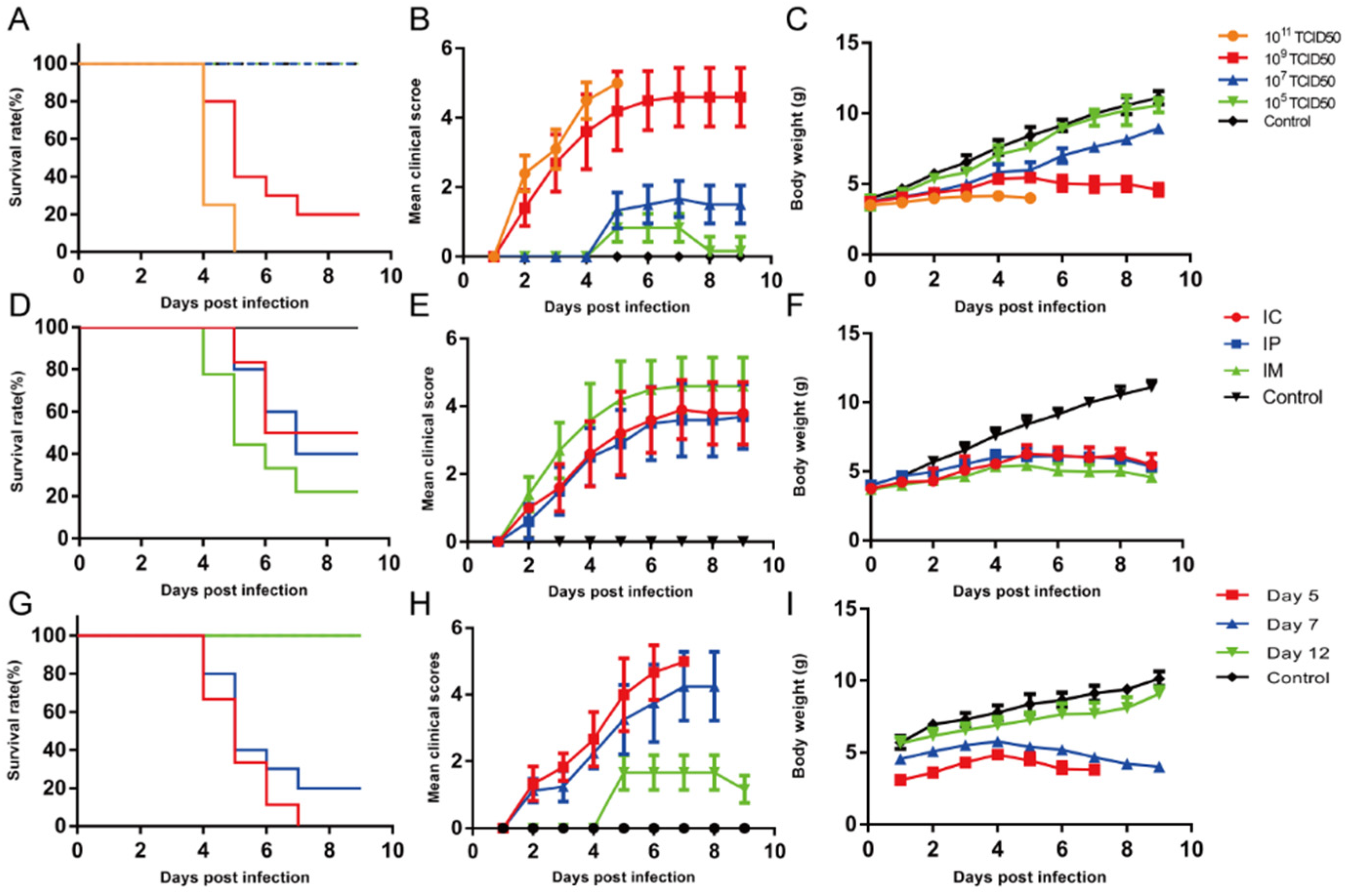 Viruses 17 01478 g001