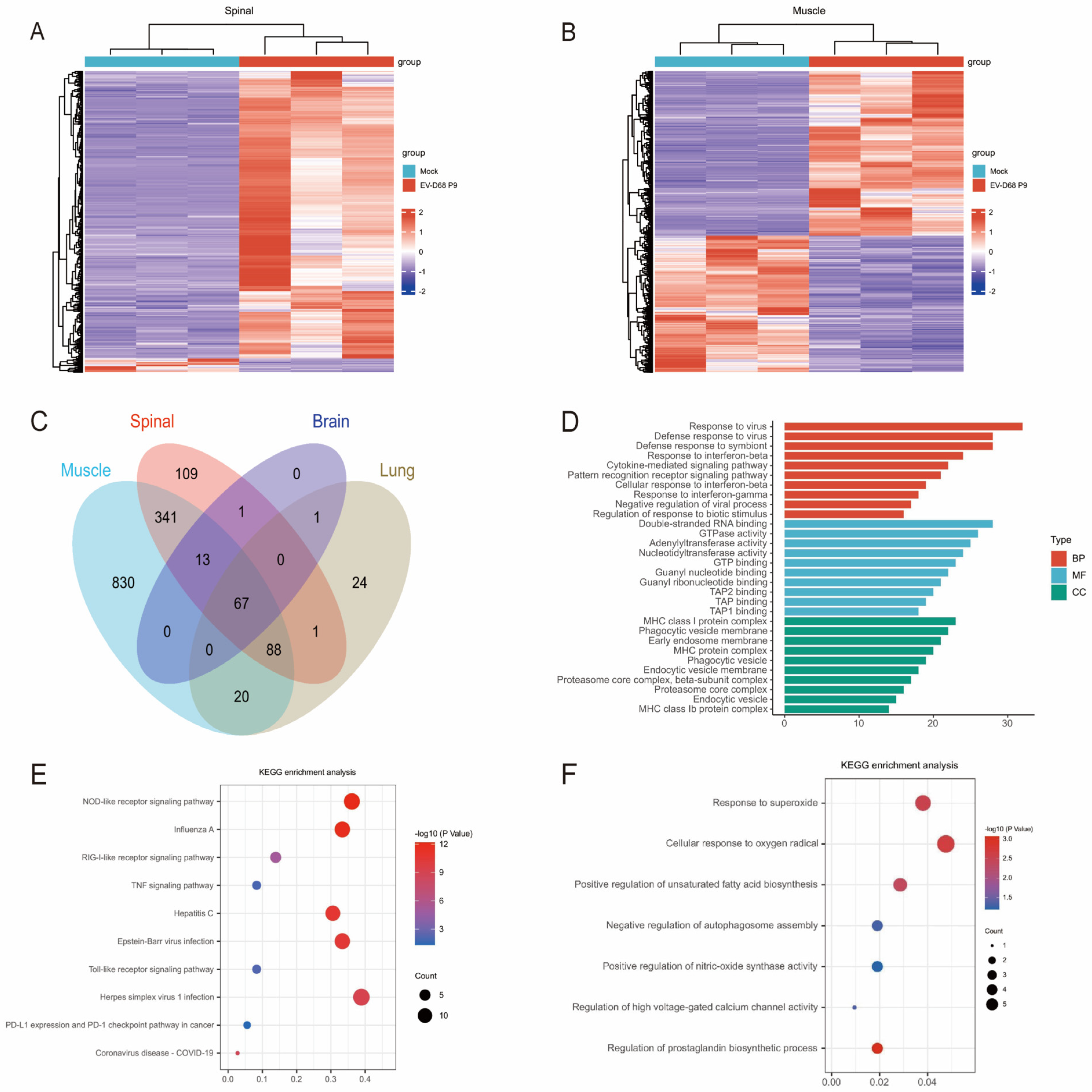 Viruses 17 01478 g006