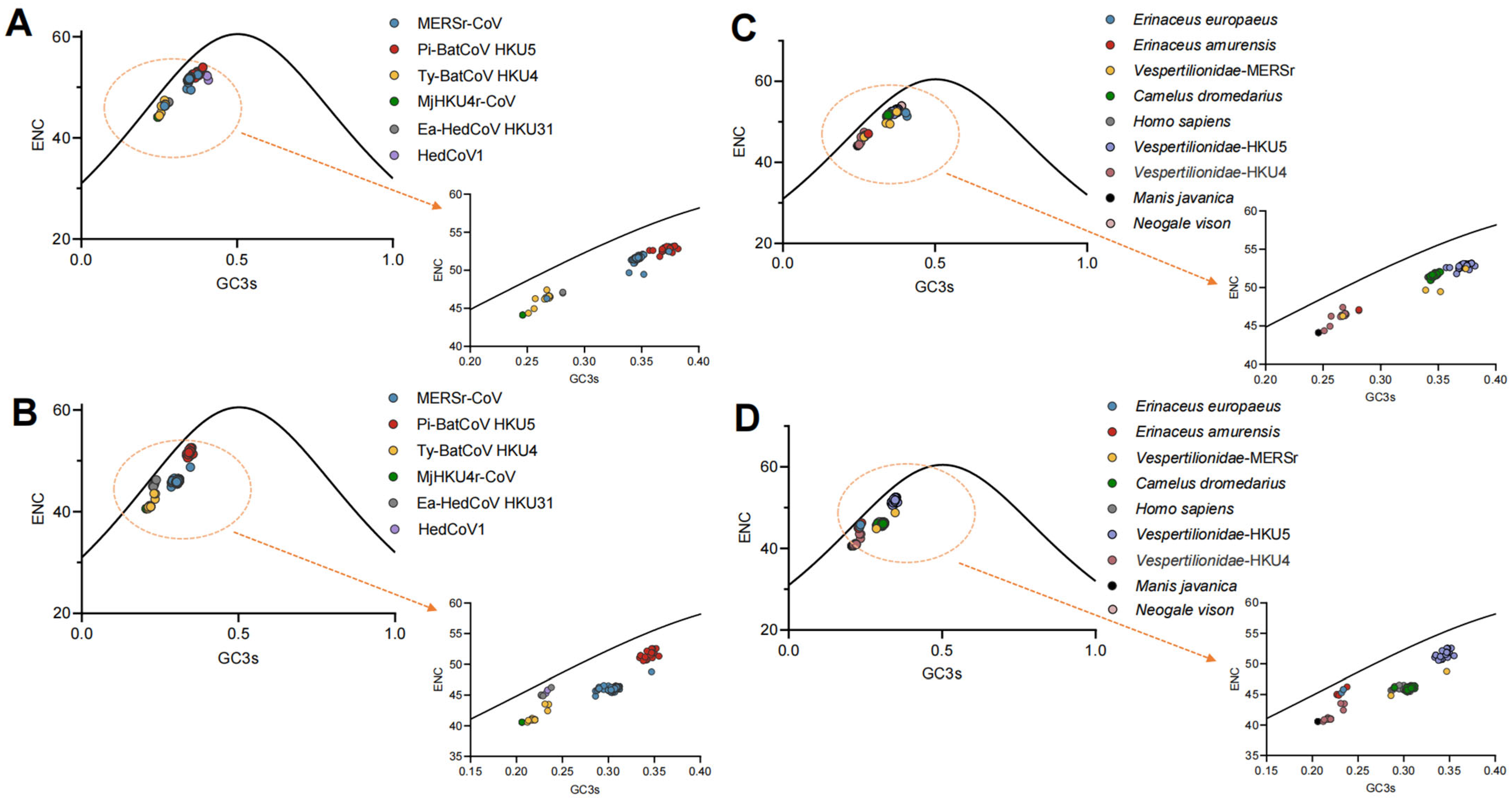 Viruses 17 01479 g003 Viruses 17 01479 g003