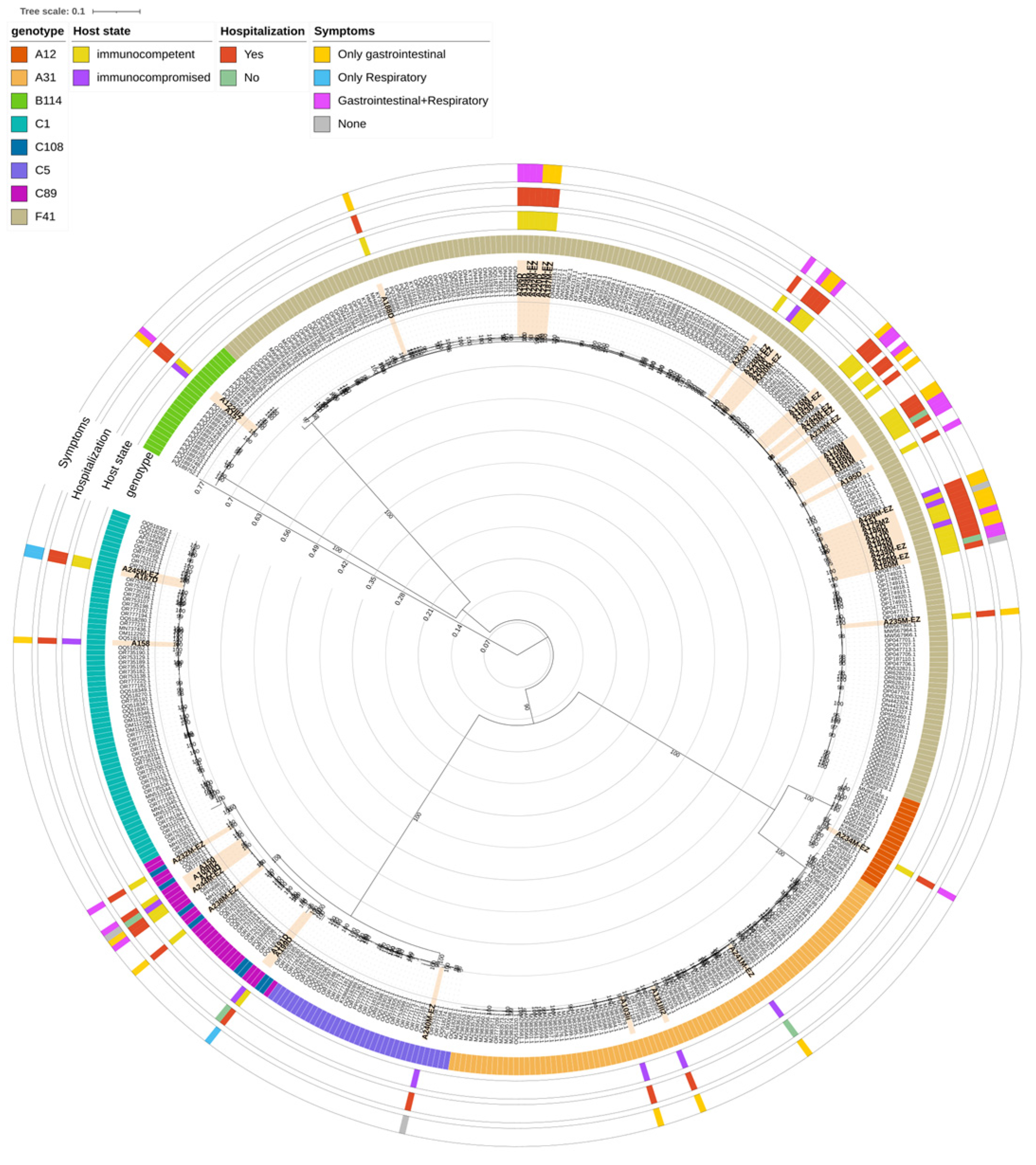 Viruses 17 01480 g003