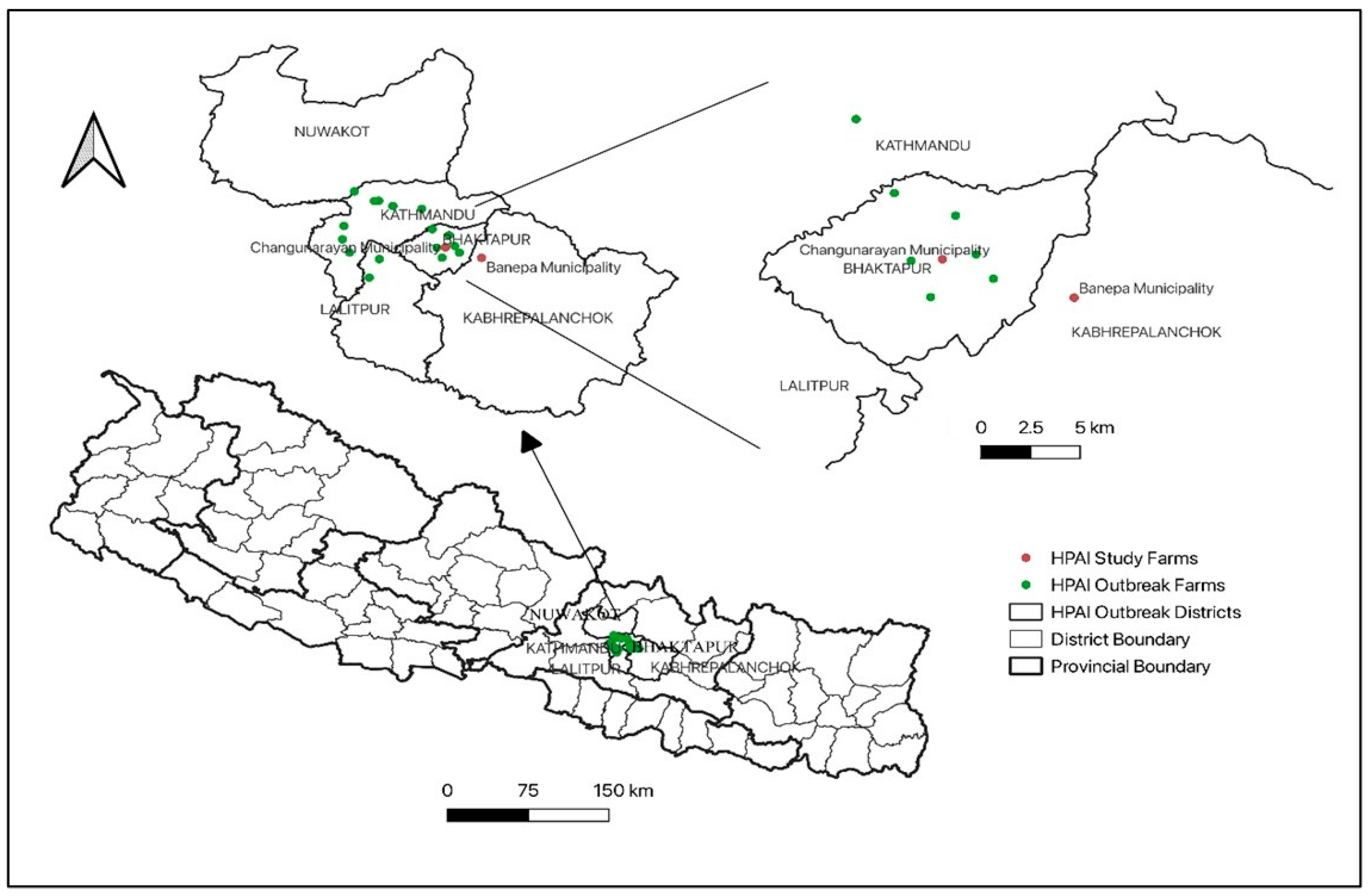 Viruses 17 01481 g001