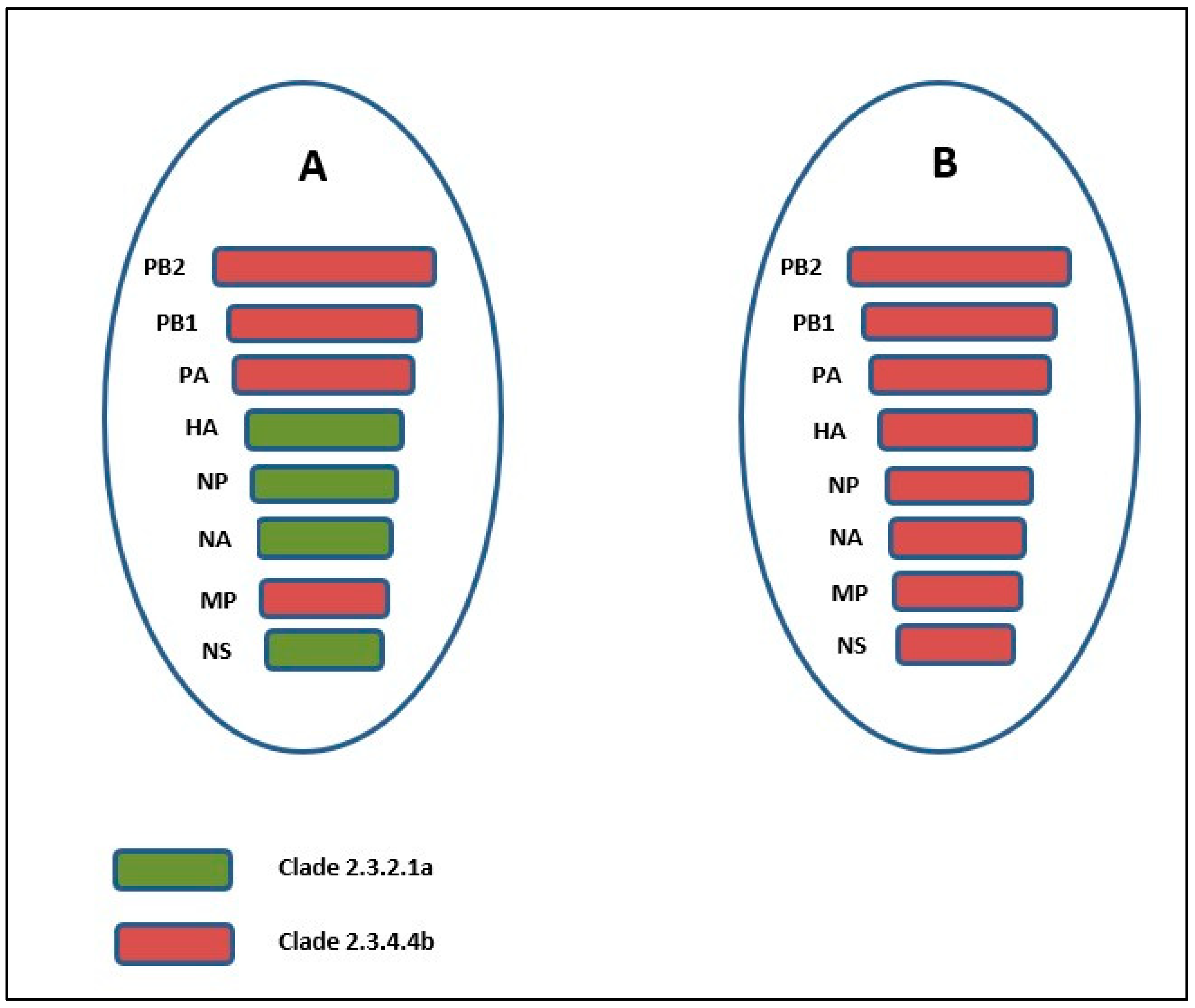 Viruses 17 01481 g003