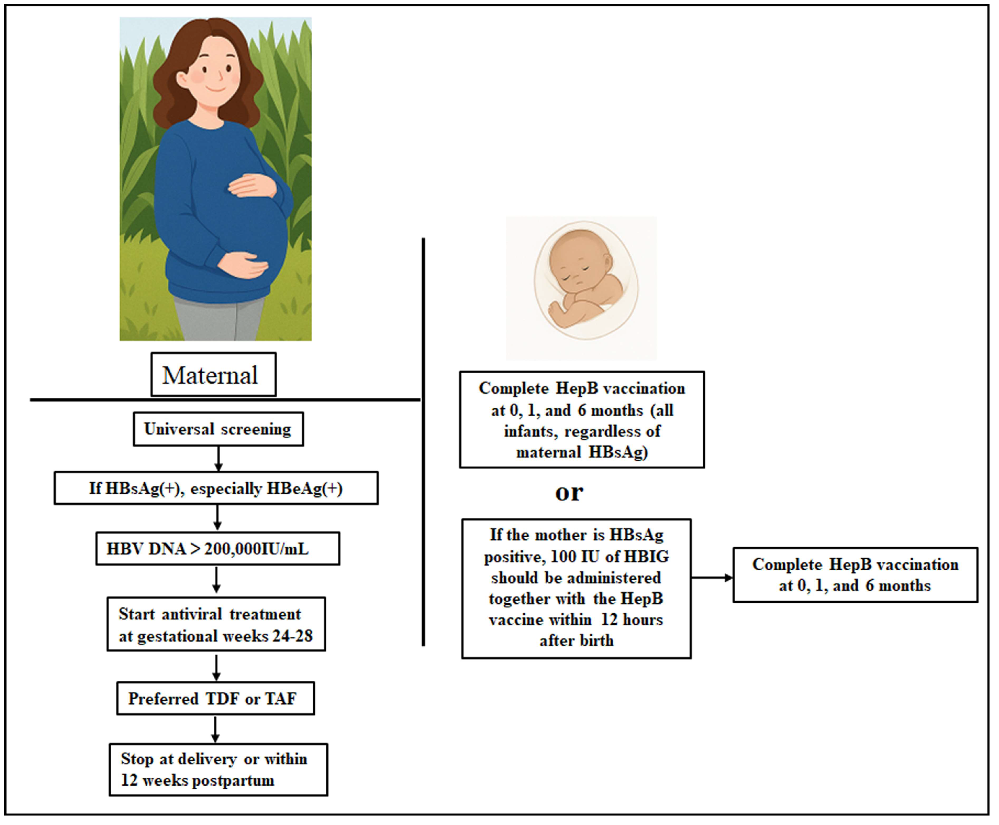 Viruses 17 01484 g002 Viruses 17 01484 g002
