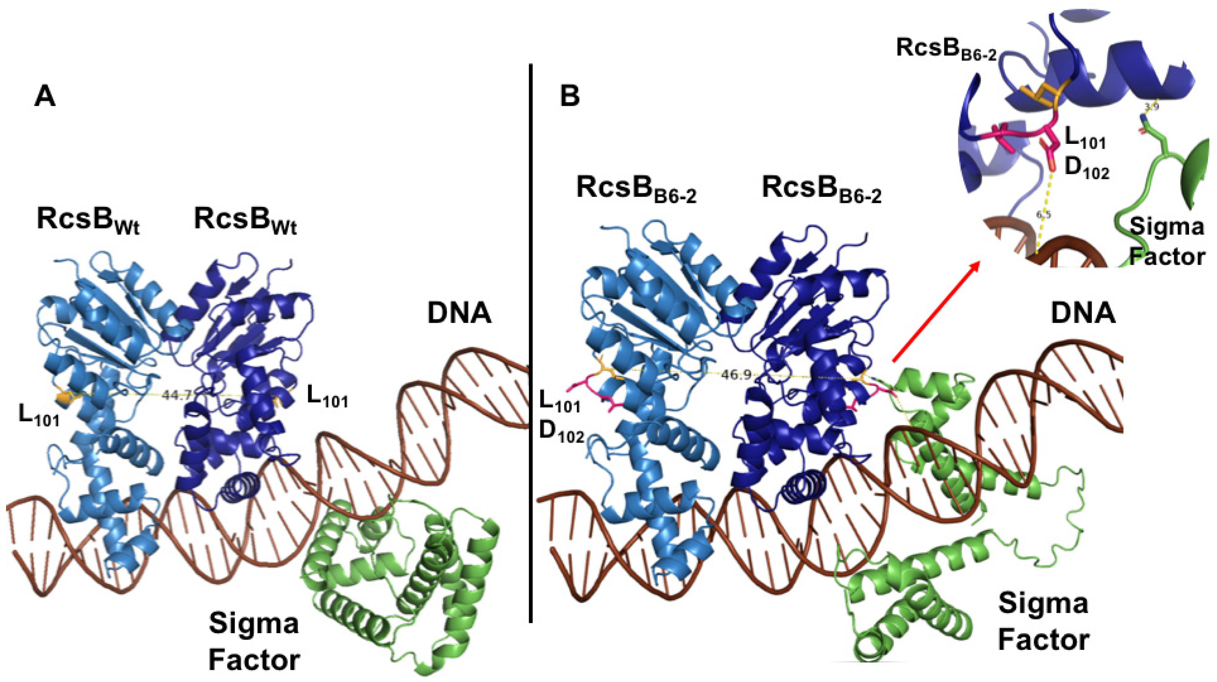 Viruses 17 01487 g001