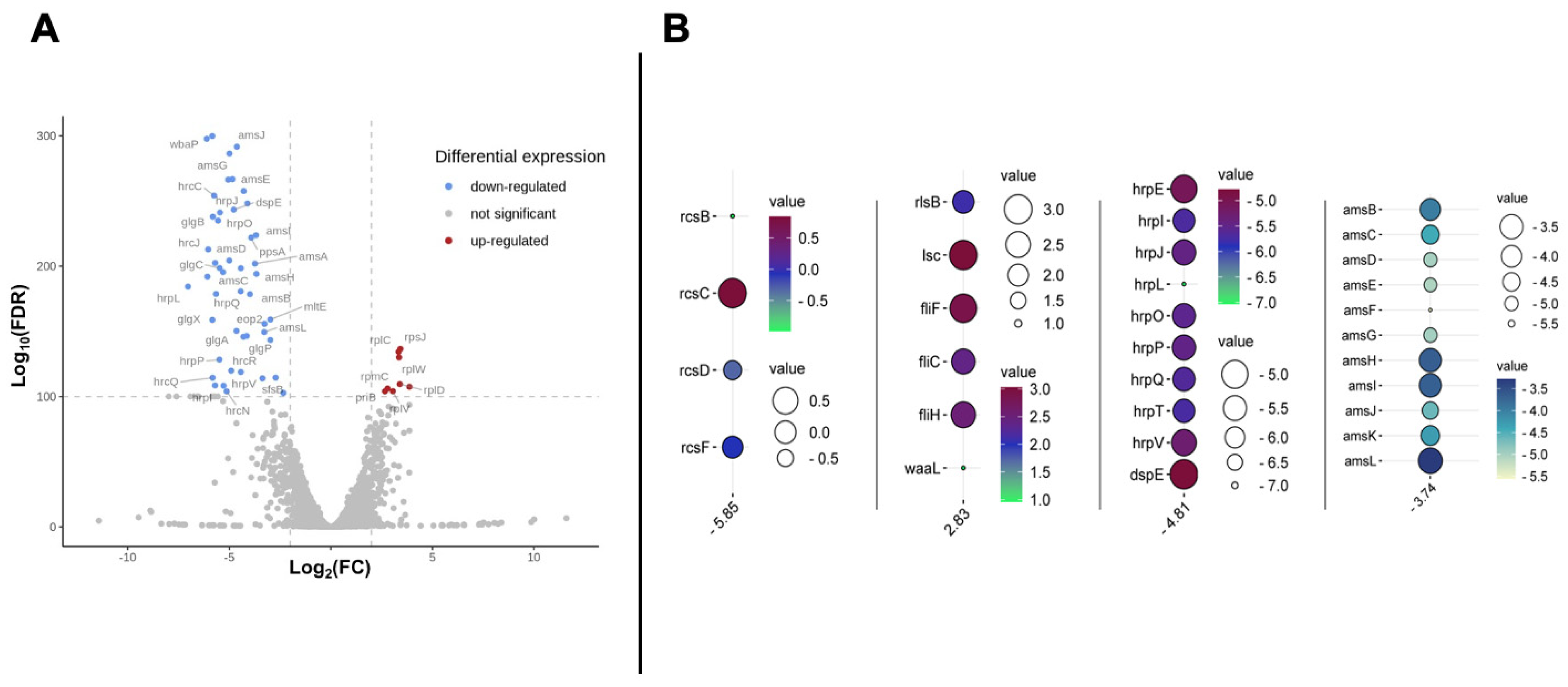 Viruses 17 01487 g002
