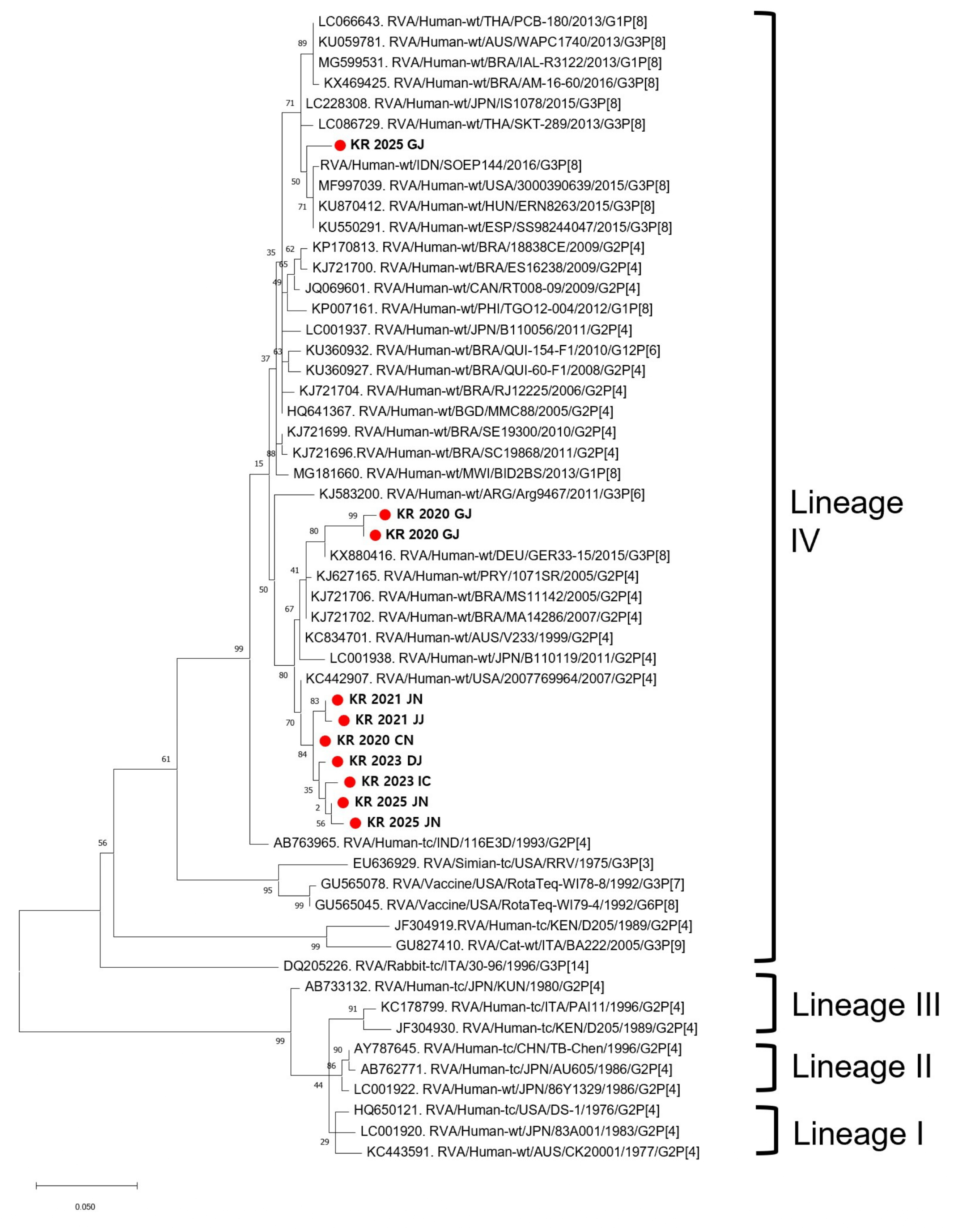 Viruses 17 01488 g003