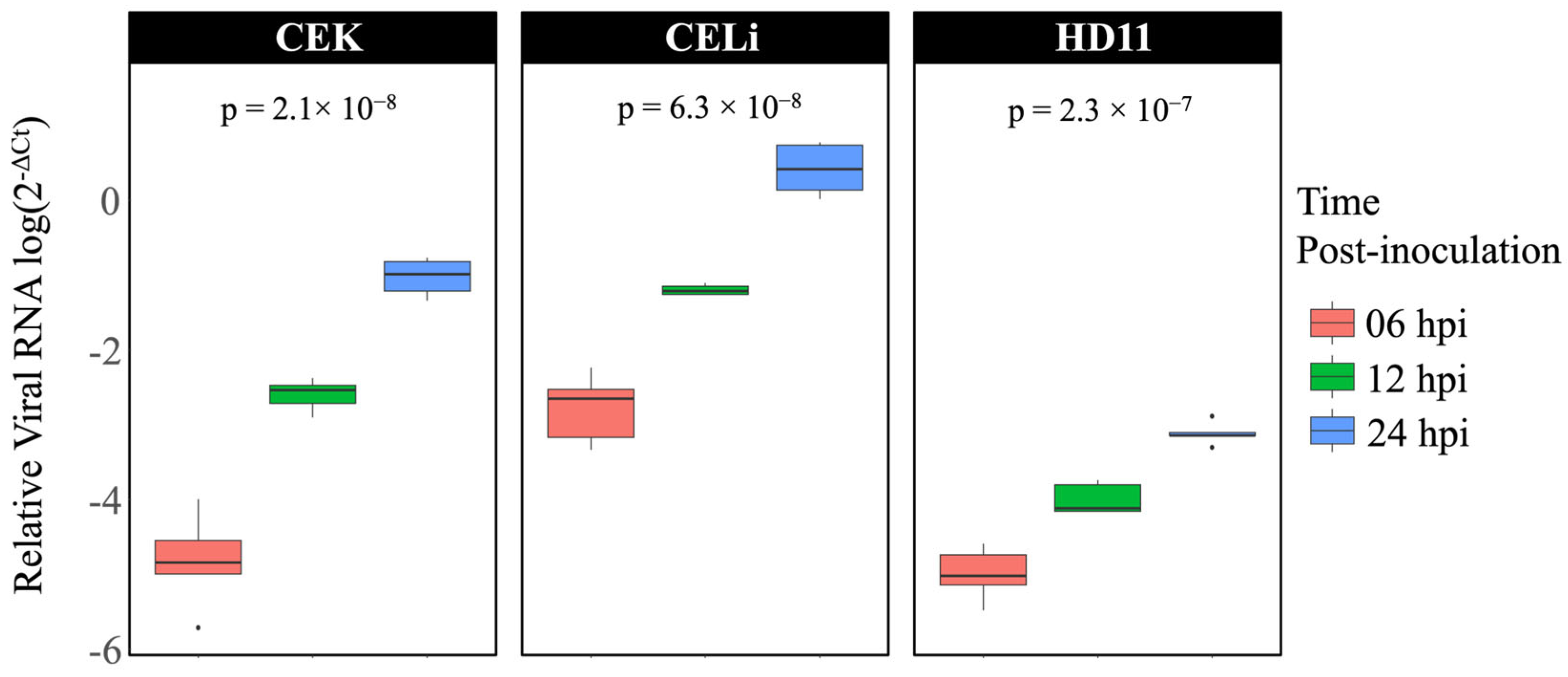 Viruses 17 01489 g001