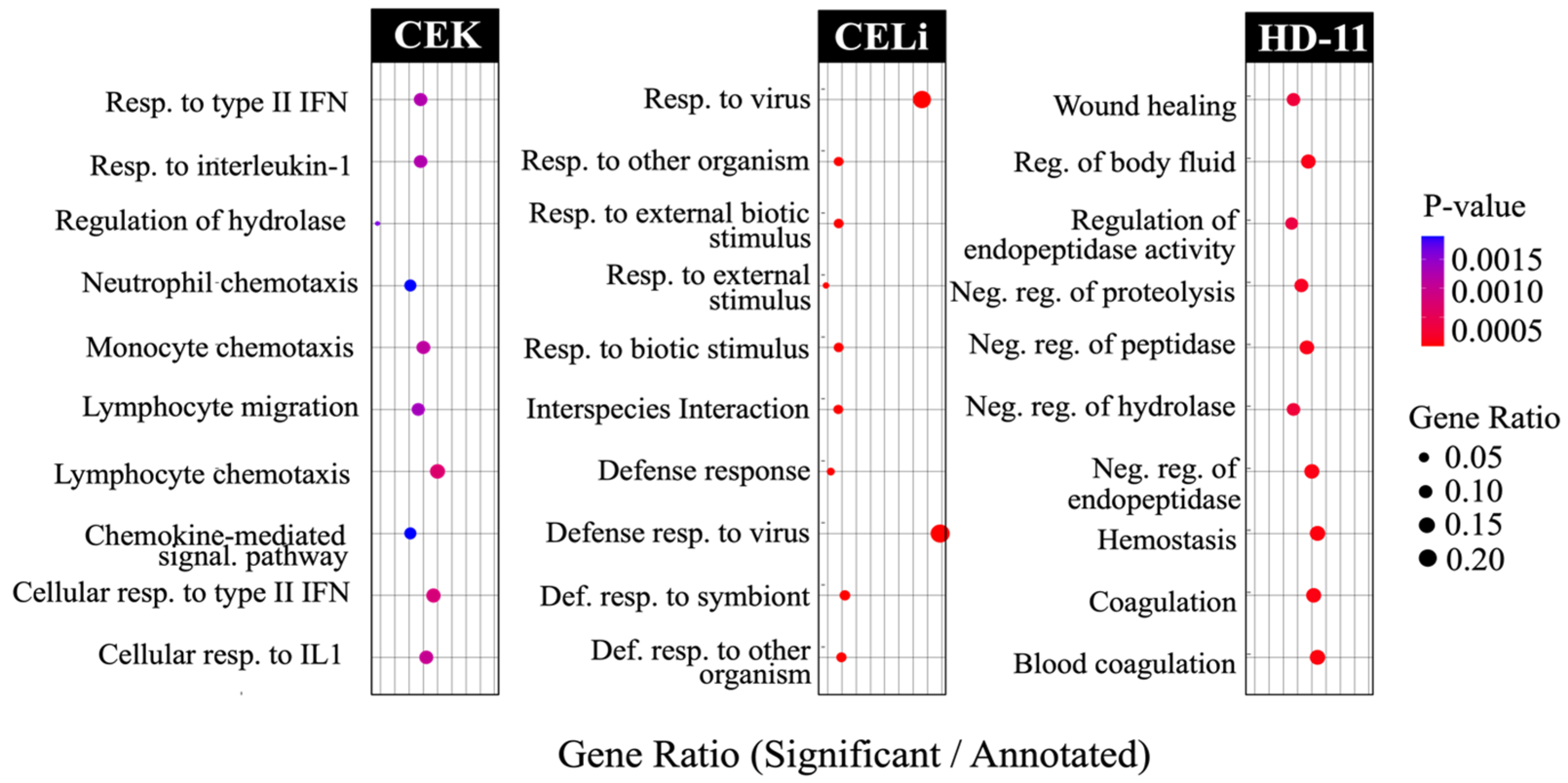 Viruses 17 01489 g005