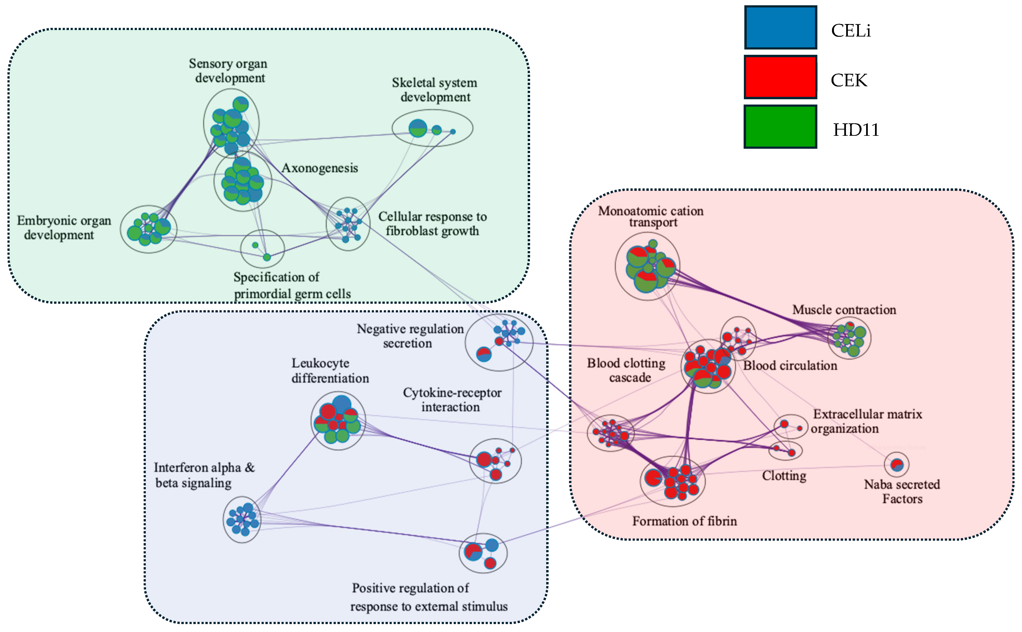 Viruses 17 01489 g006
