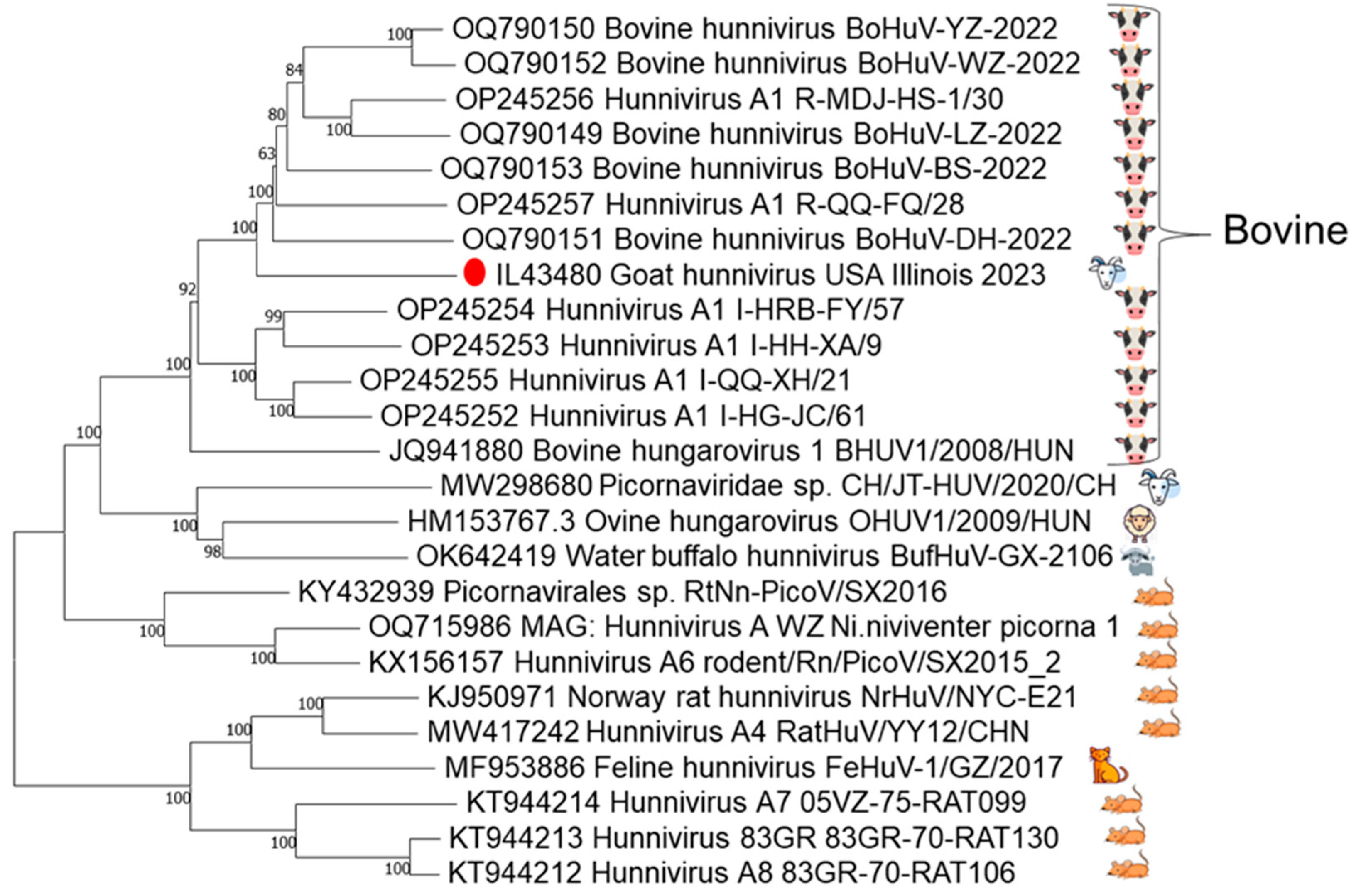 Viruses 17 01491 g001