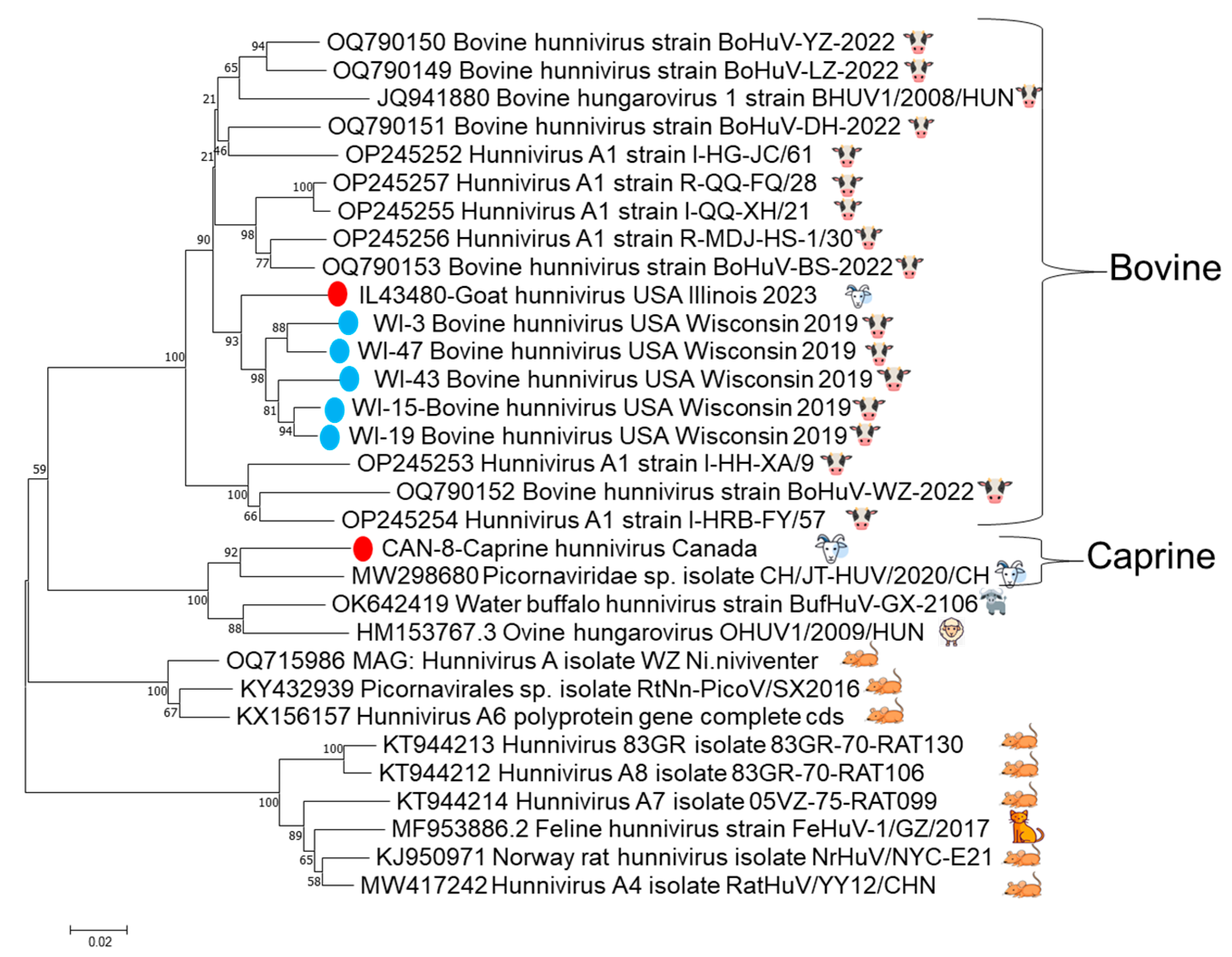 Viruses 17 01491 g003