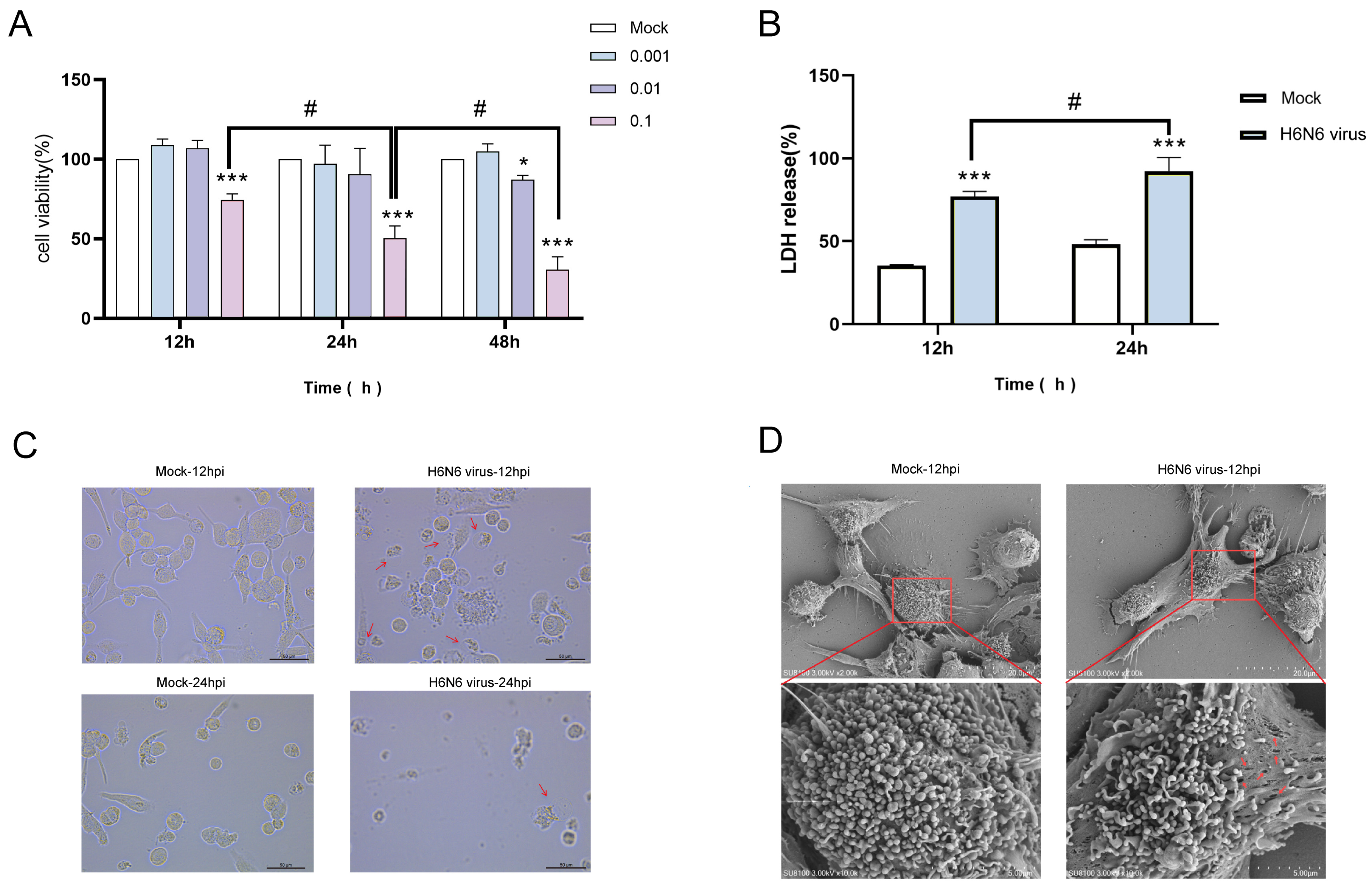 Viruses 17 01492 g003