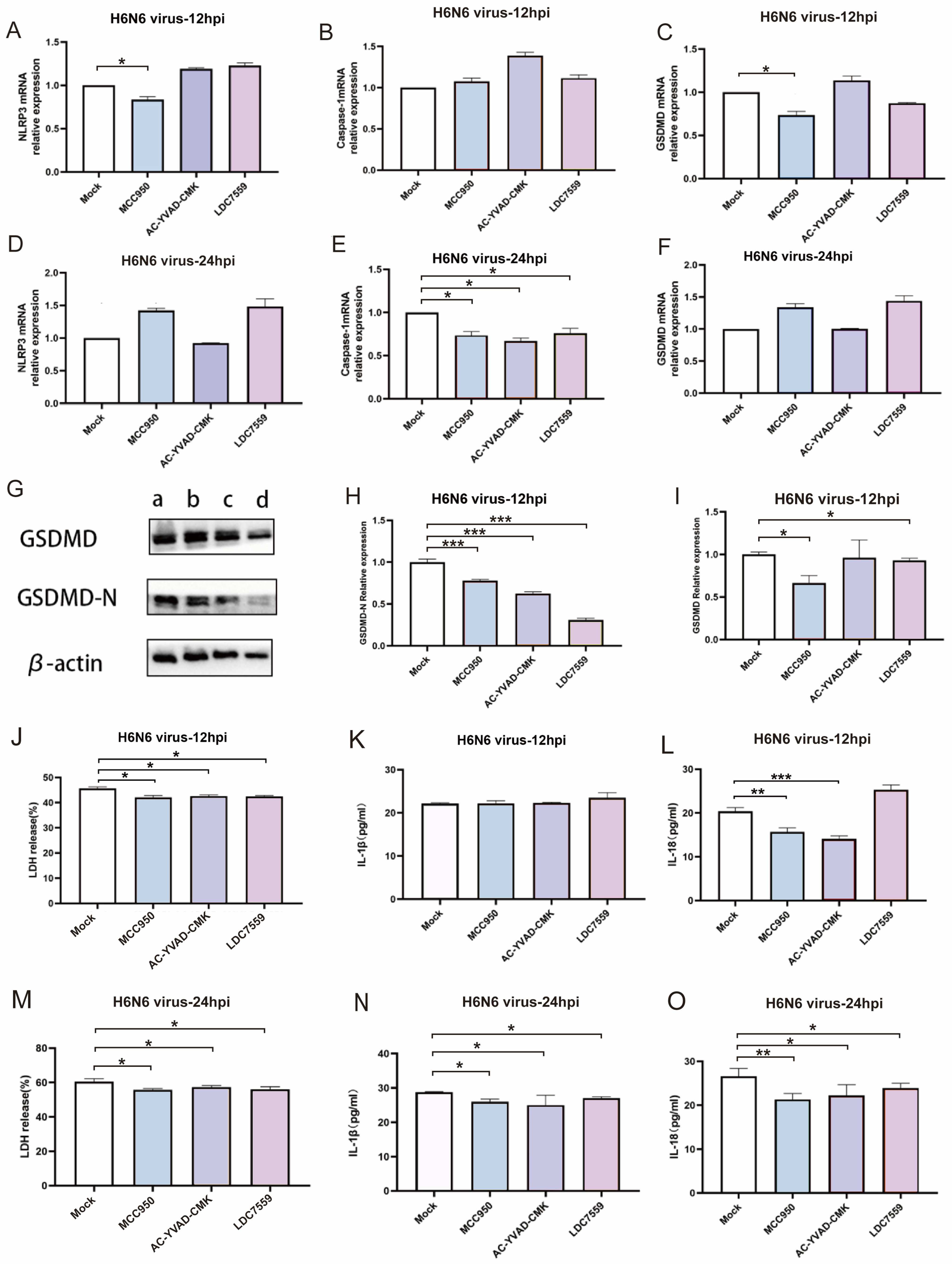 Viruses 17 01492 g005