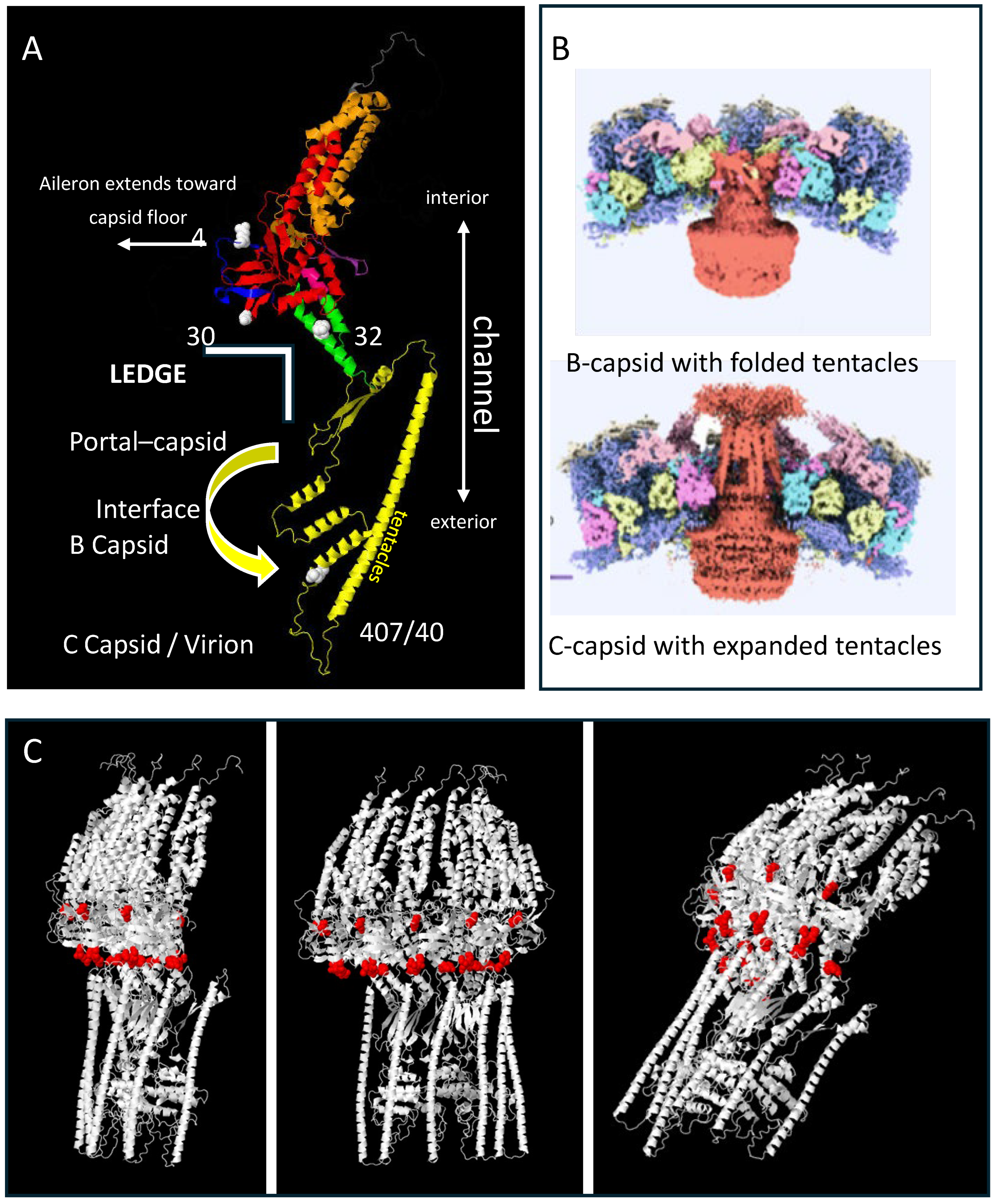 Viruses 17 01496 g002