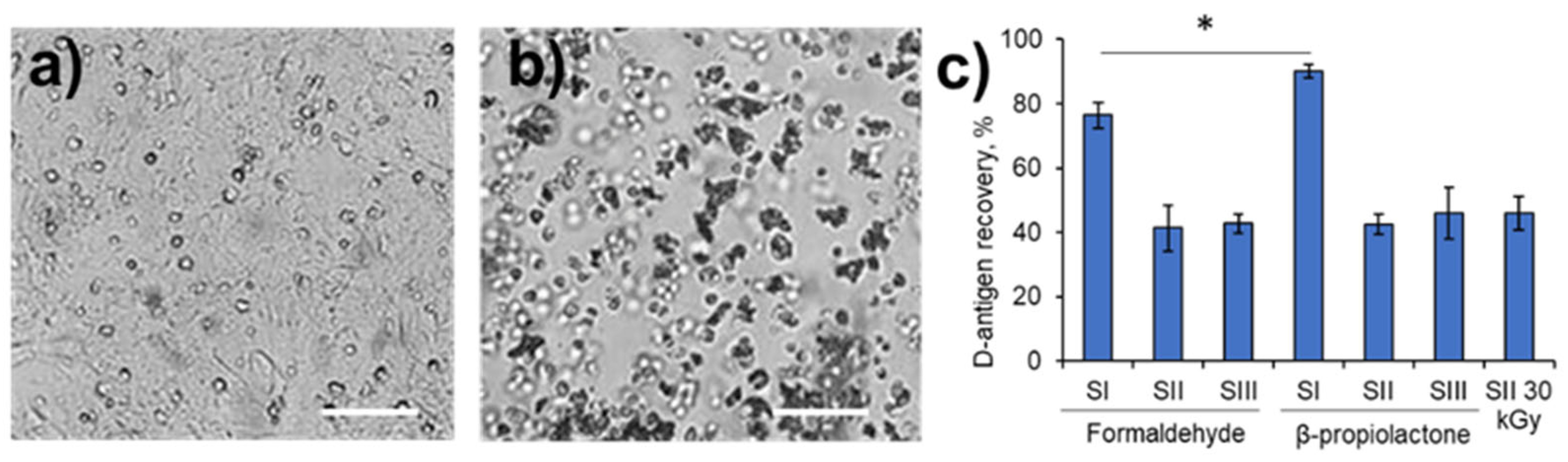 Viruses 17 01498 g001