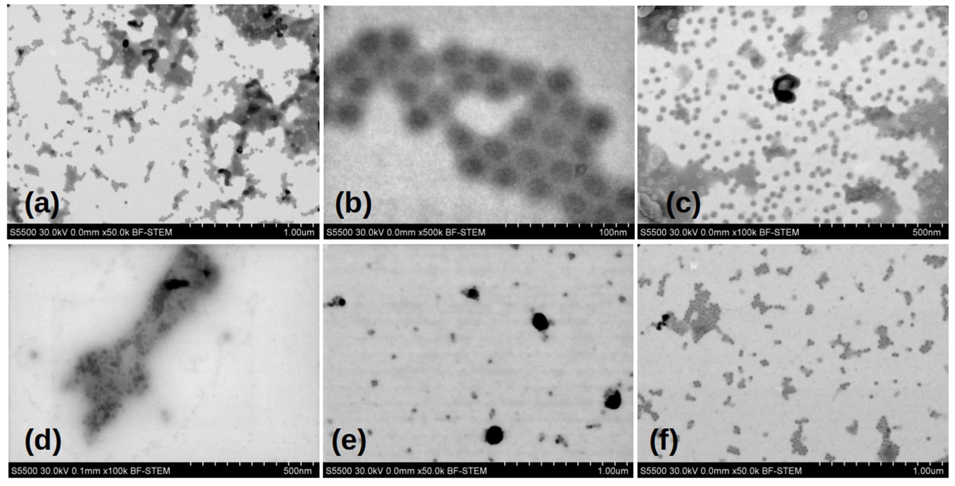 Viruses 17 01498 g003