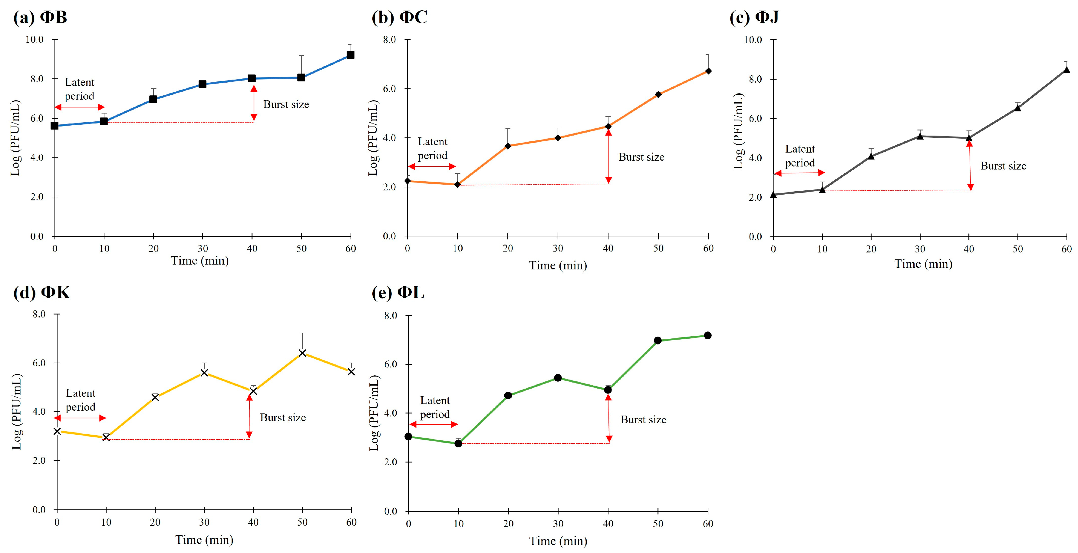 Viruses 17 01501 g002