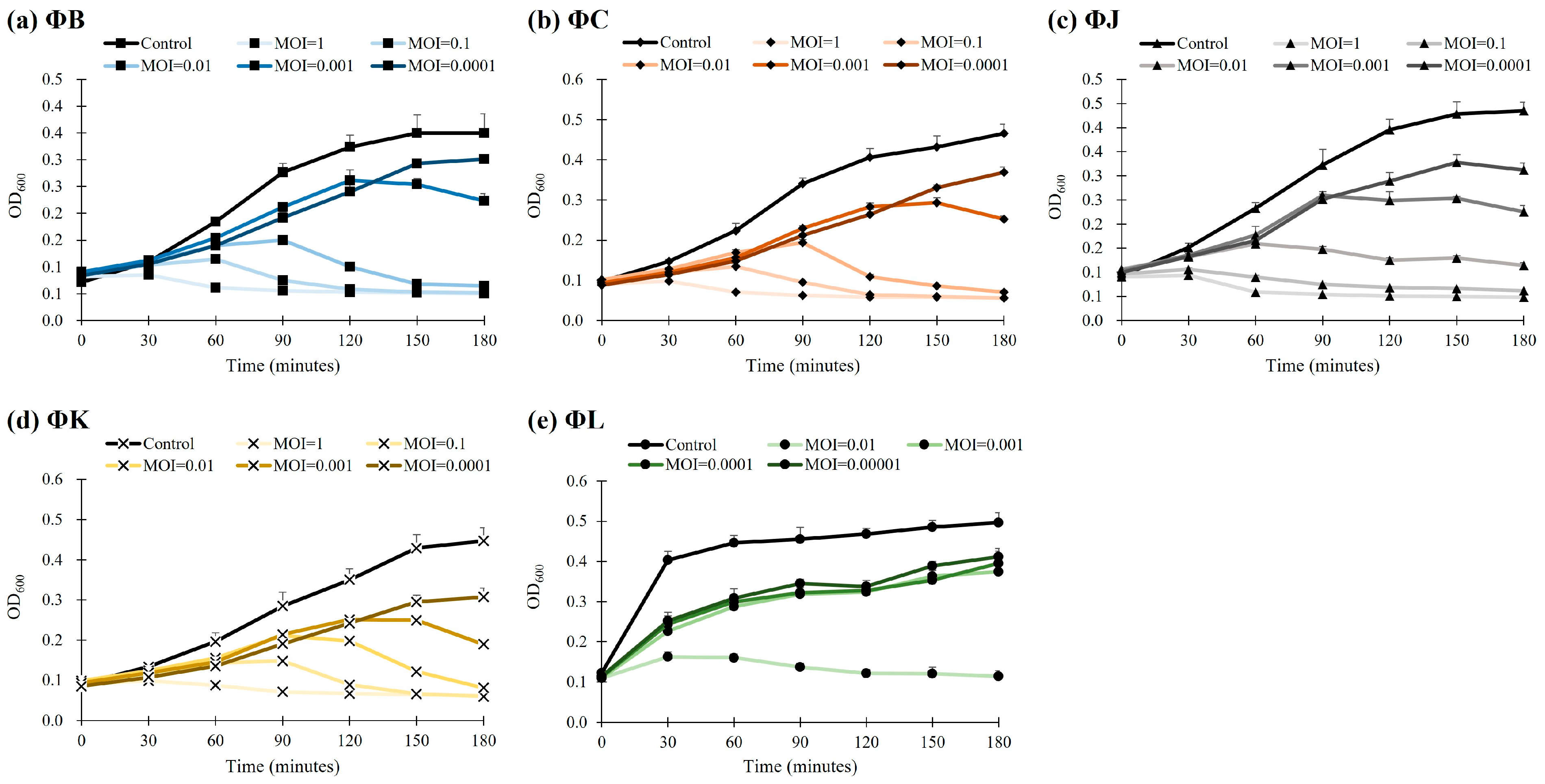 Viruses 17 01501 g005