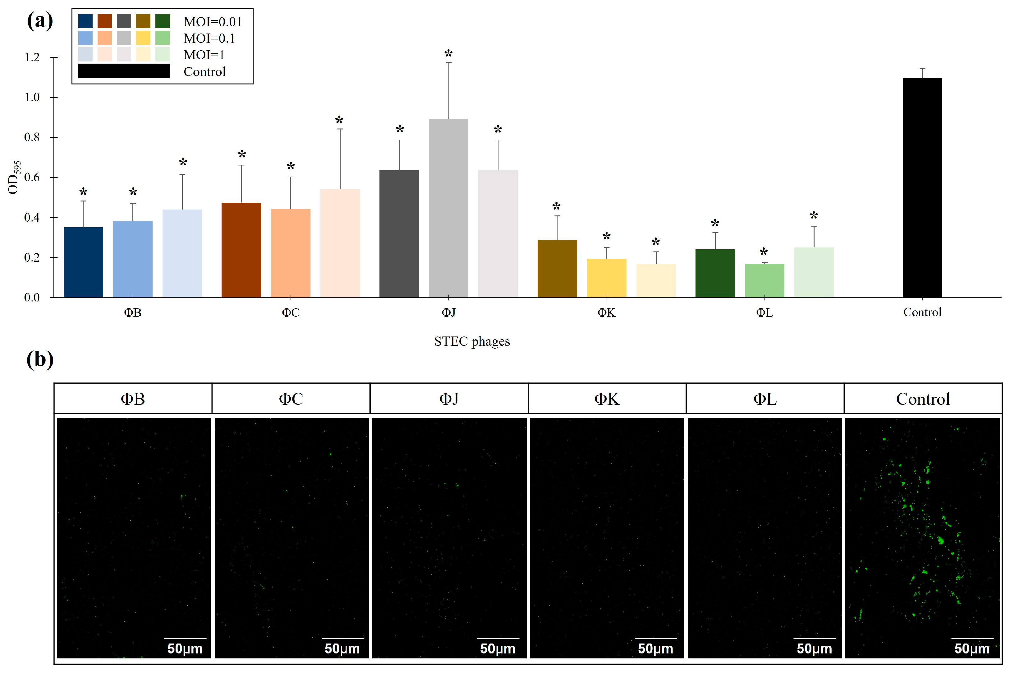 Viruses 17 01501 g007