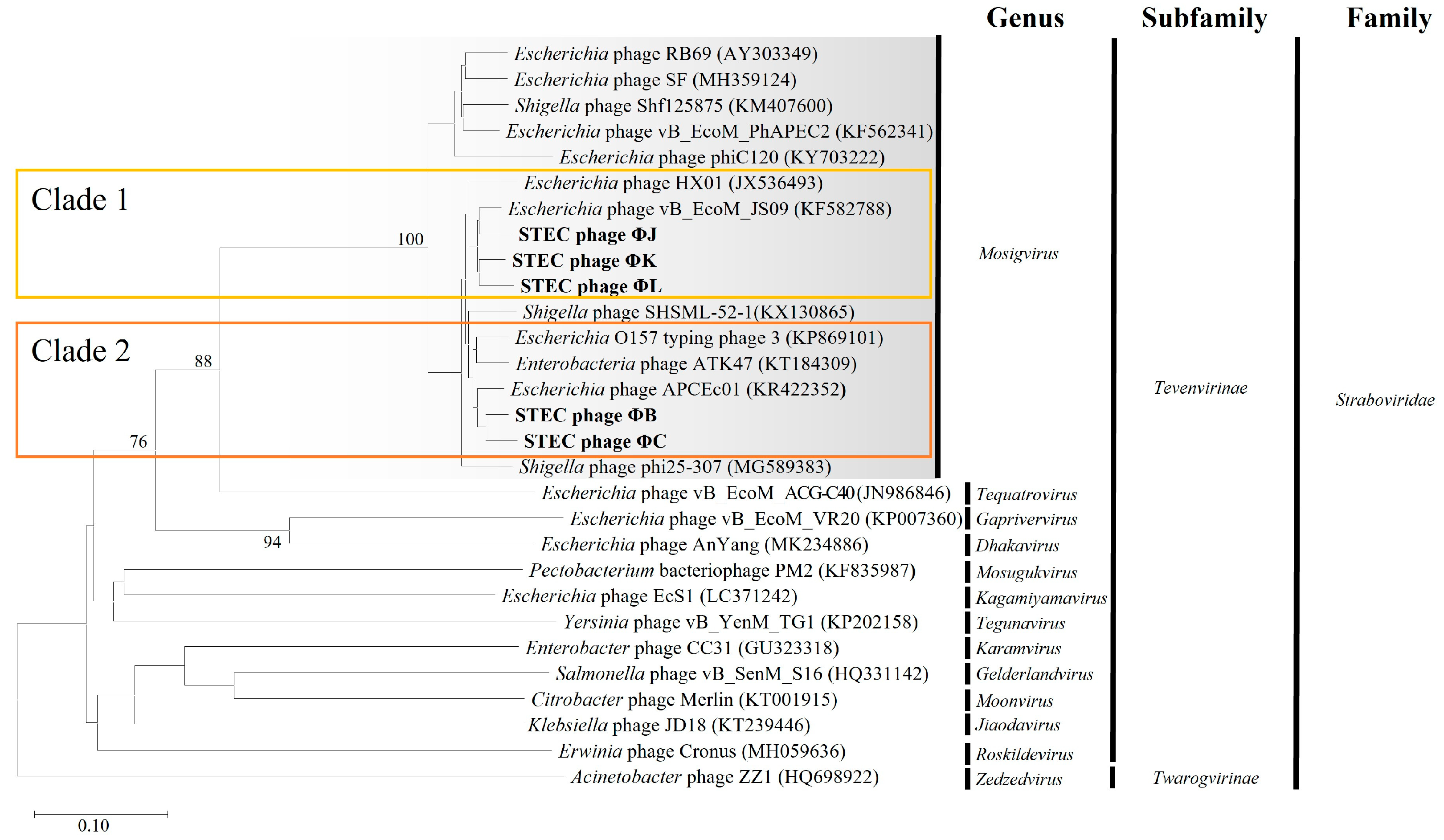 Viruses 17 01501 g008