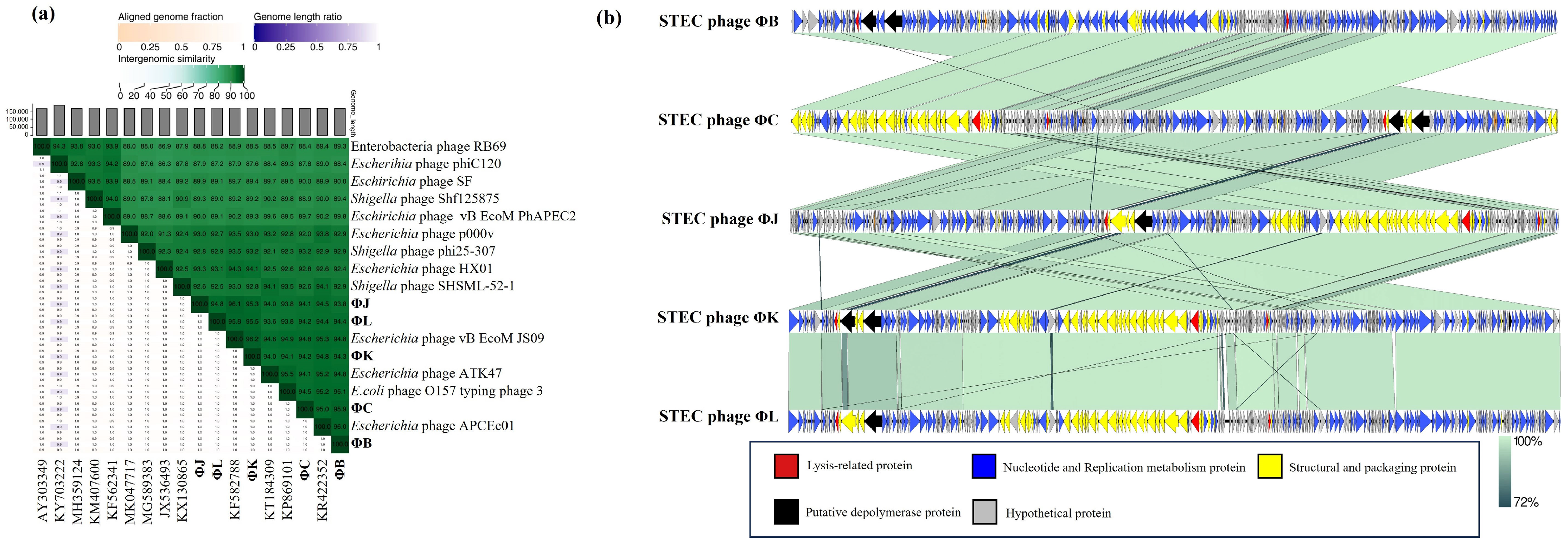 Viruses 17 01501 g009